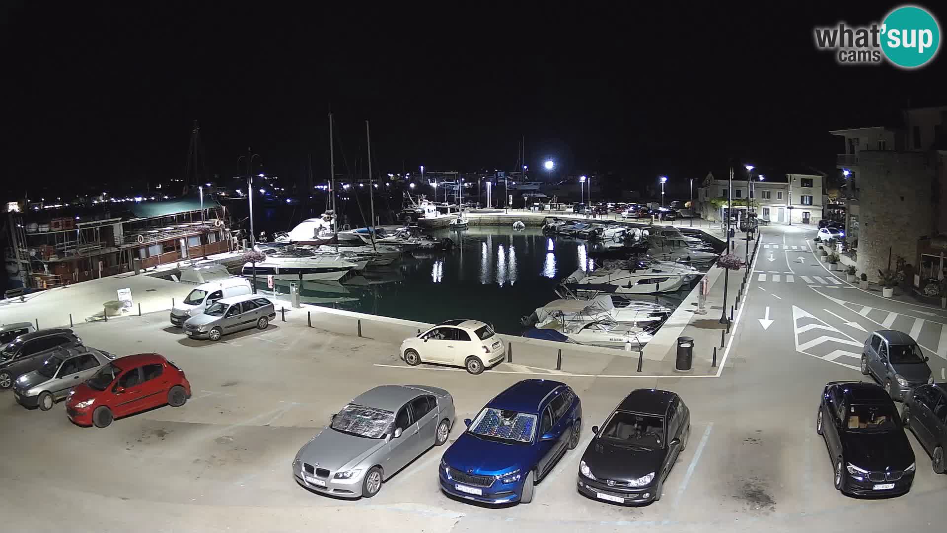 Novigrad | Porporela marina