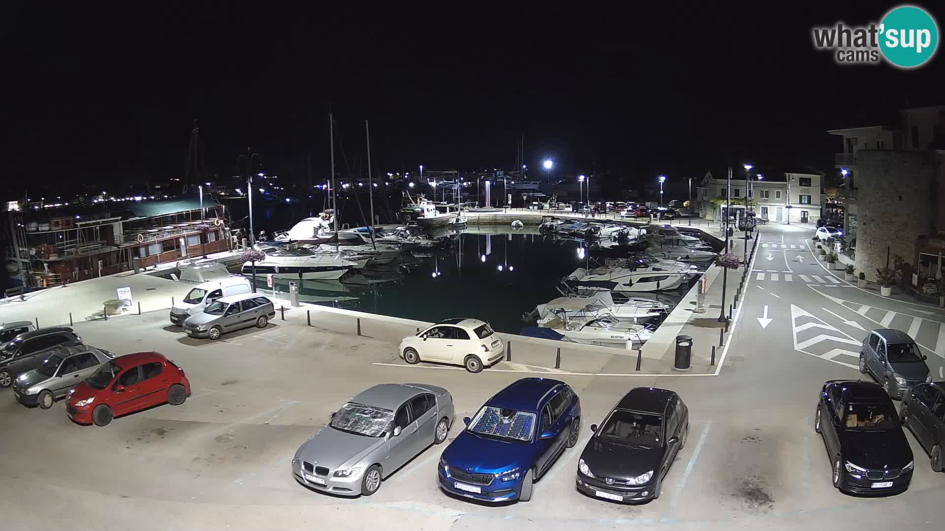 Novigrad | Porporela marina