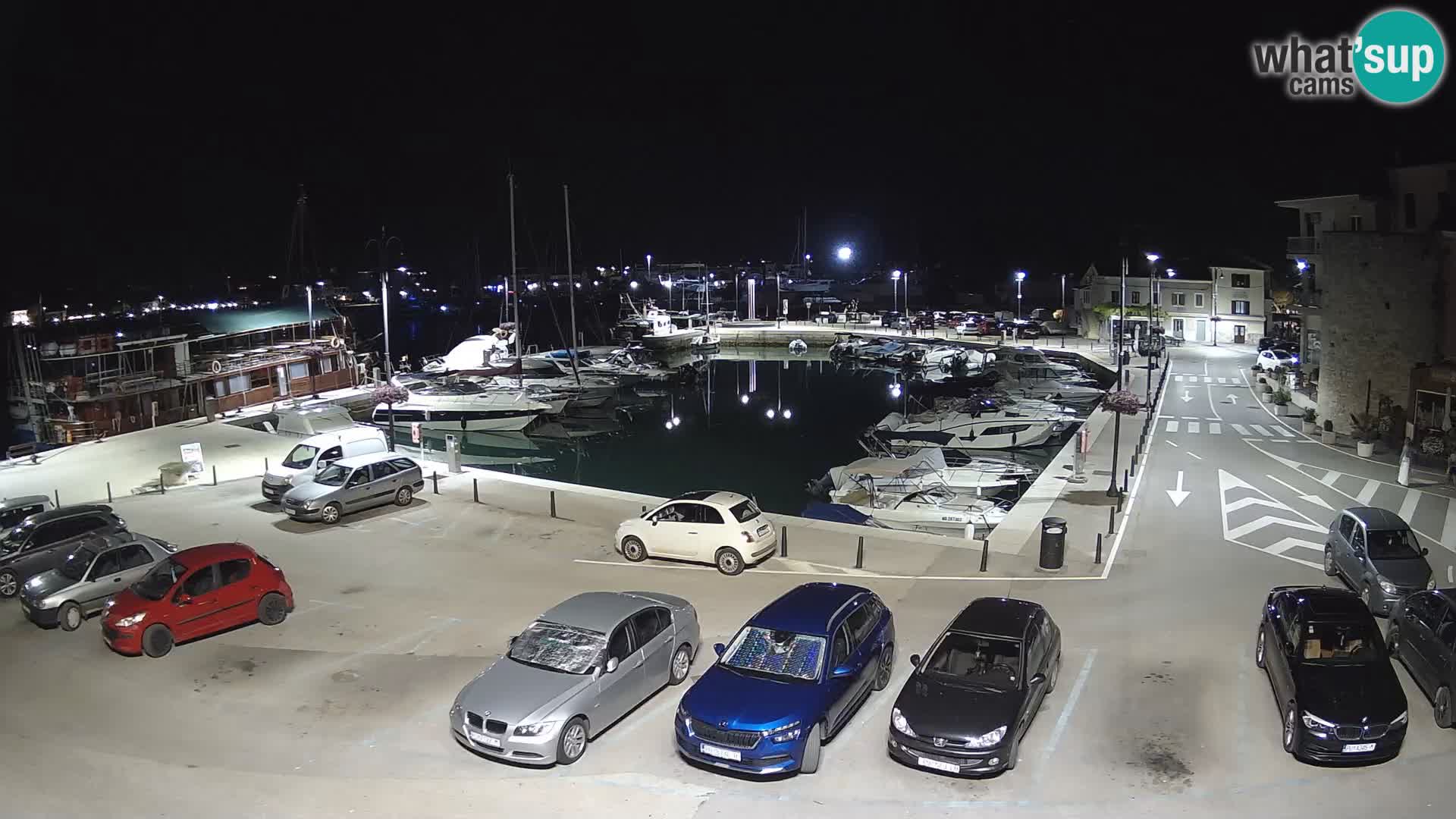 Novigrad | Porporela marina