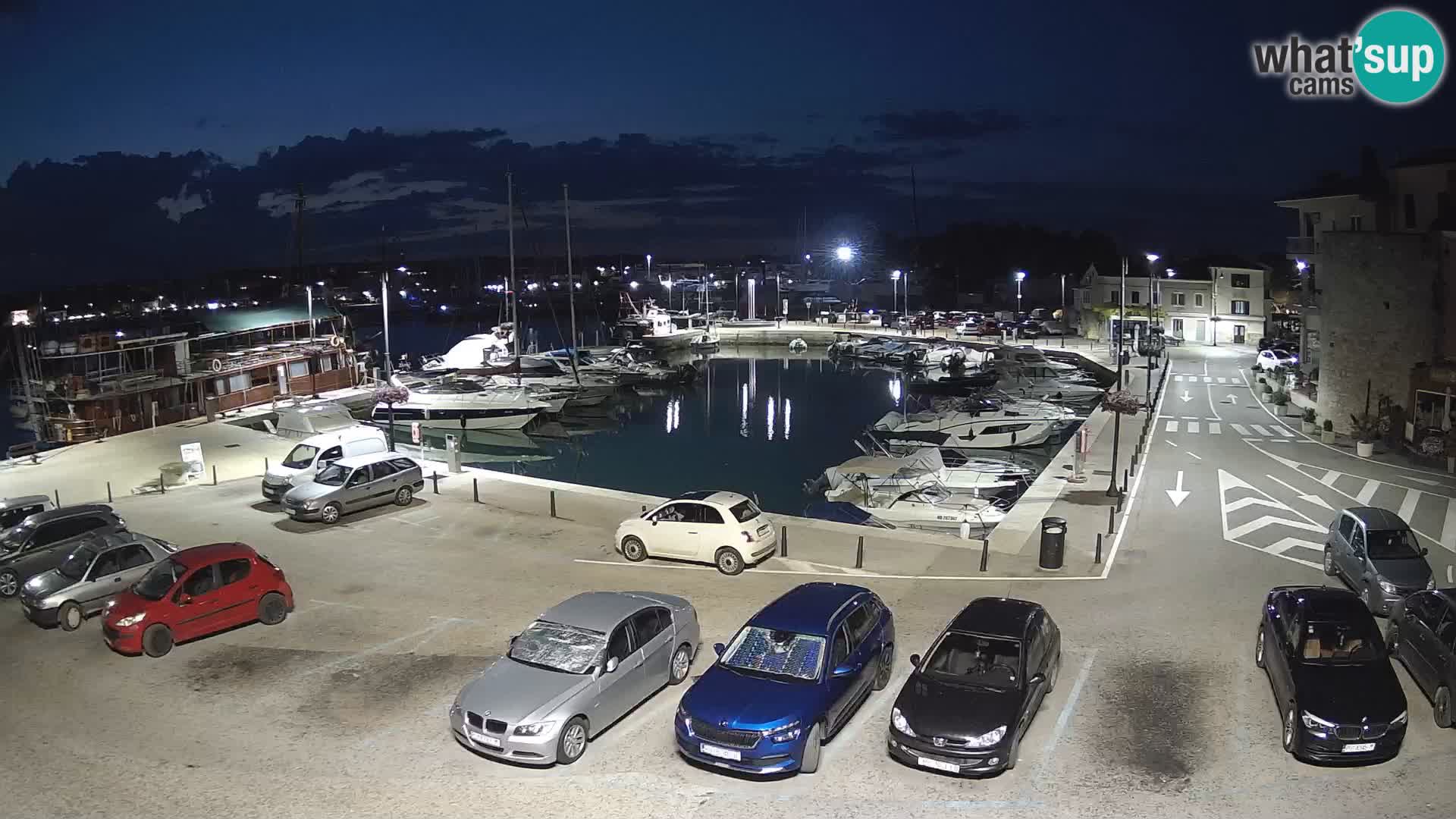 Novigrad | Porporela marina