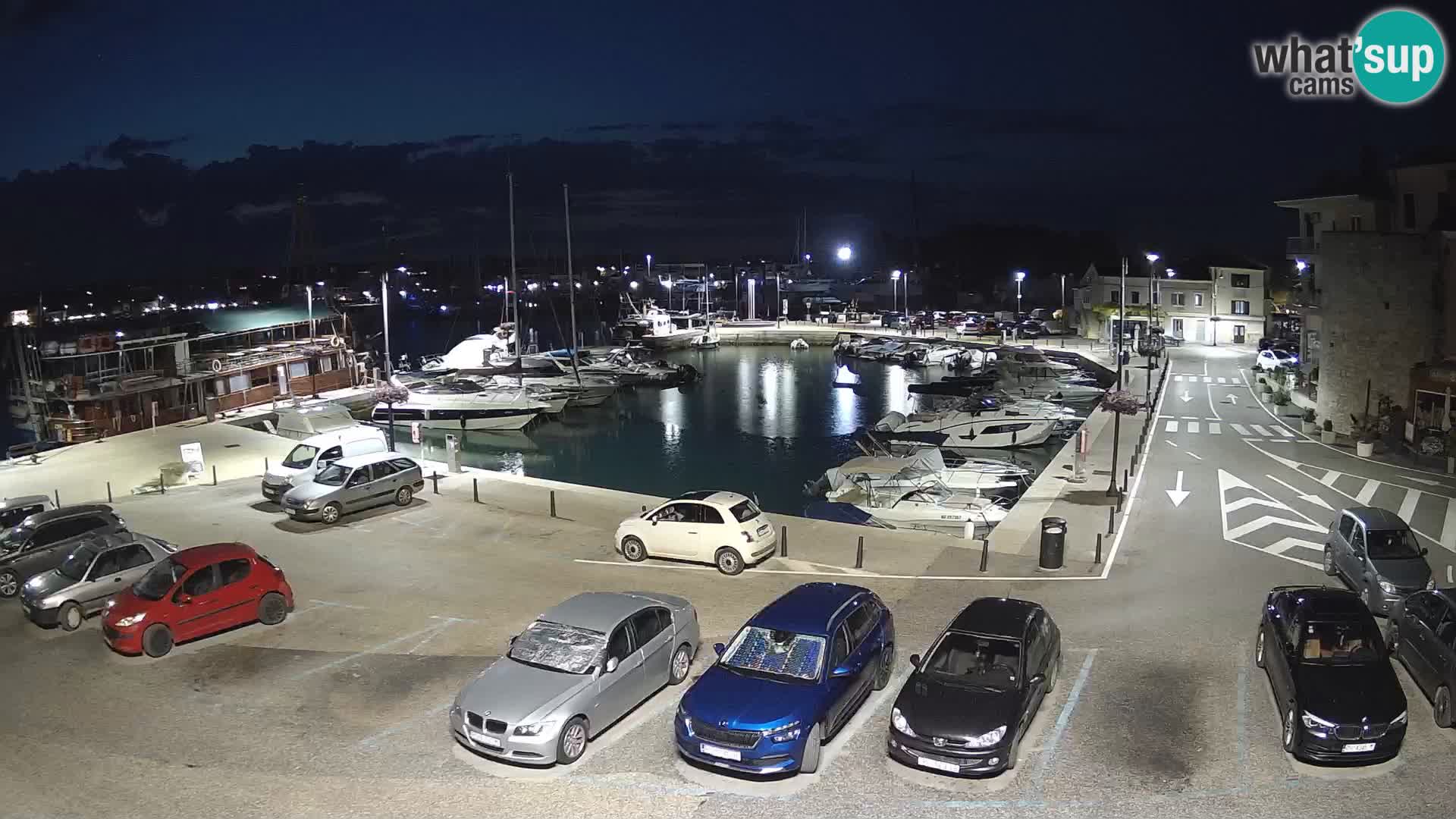 Novigrad | Porporela marina