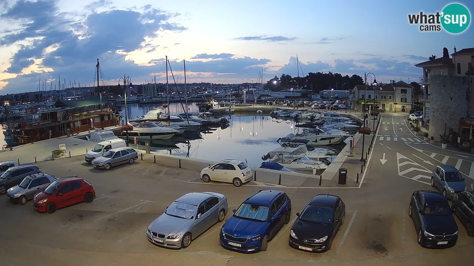 Novigrad | Porporela marina