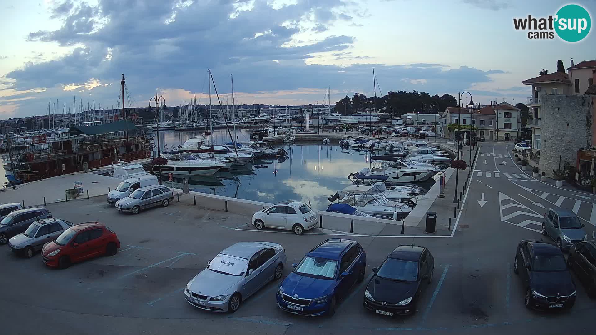 Novigrad | Porporela marina