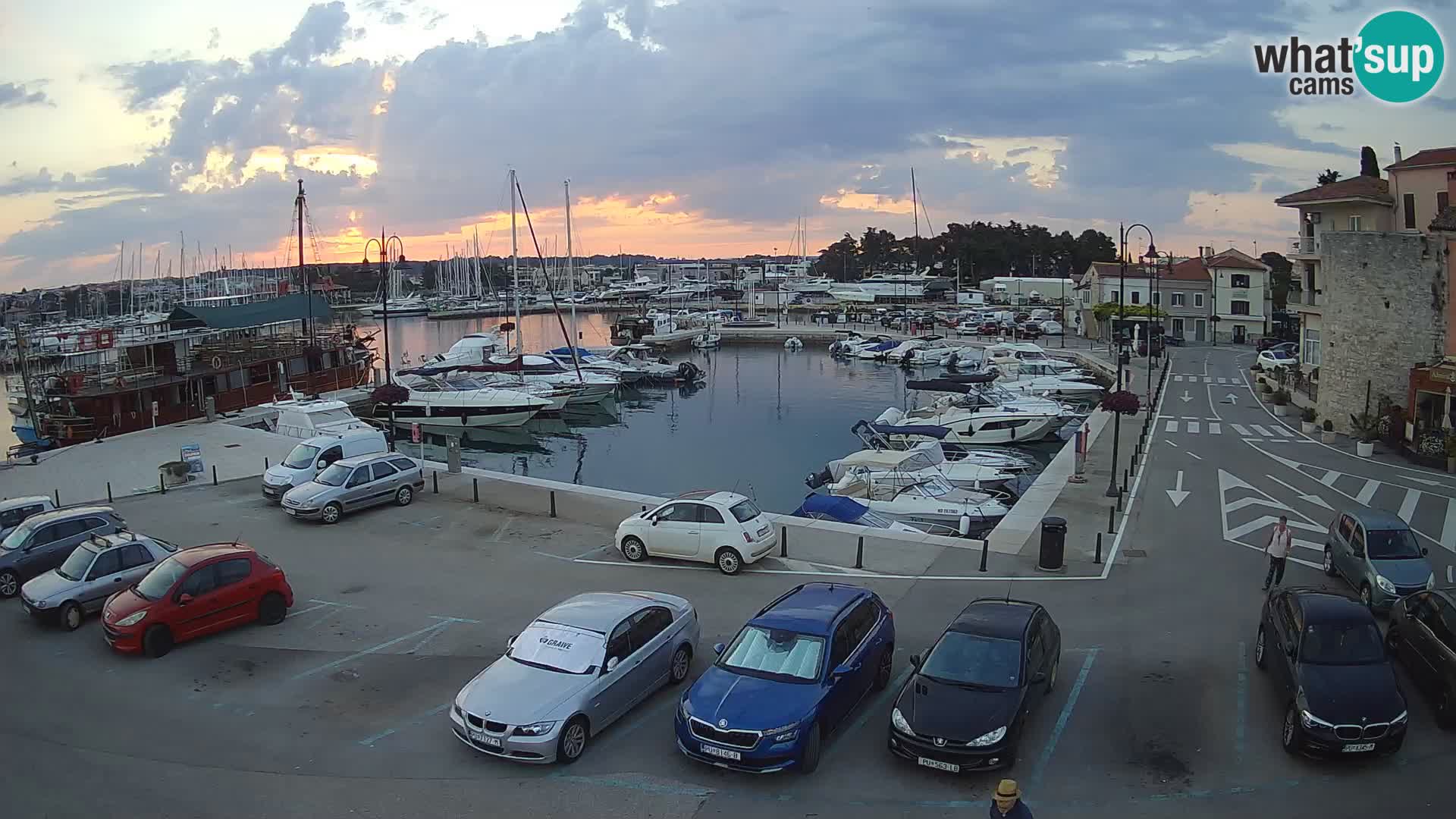Novigrad | Porporela marina