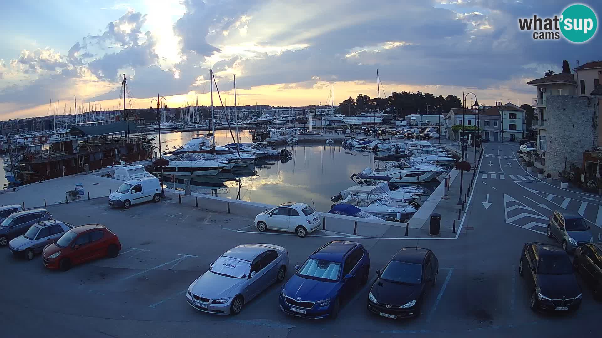 Novigrad | Porporela marina