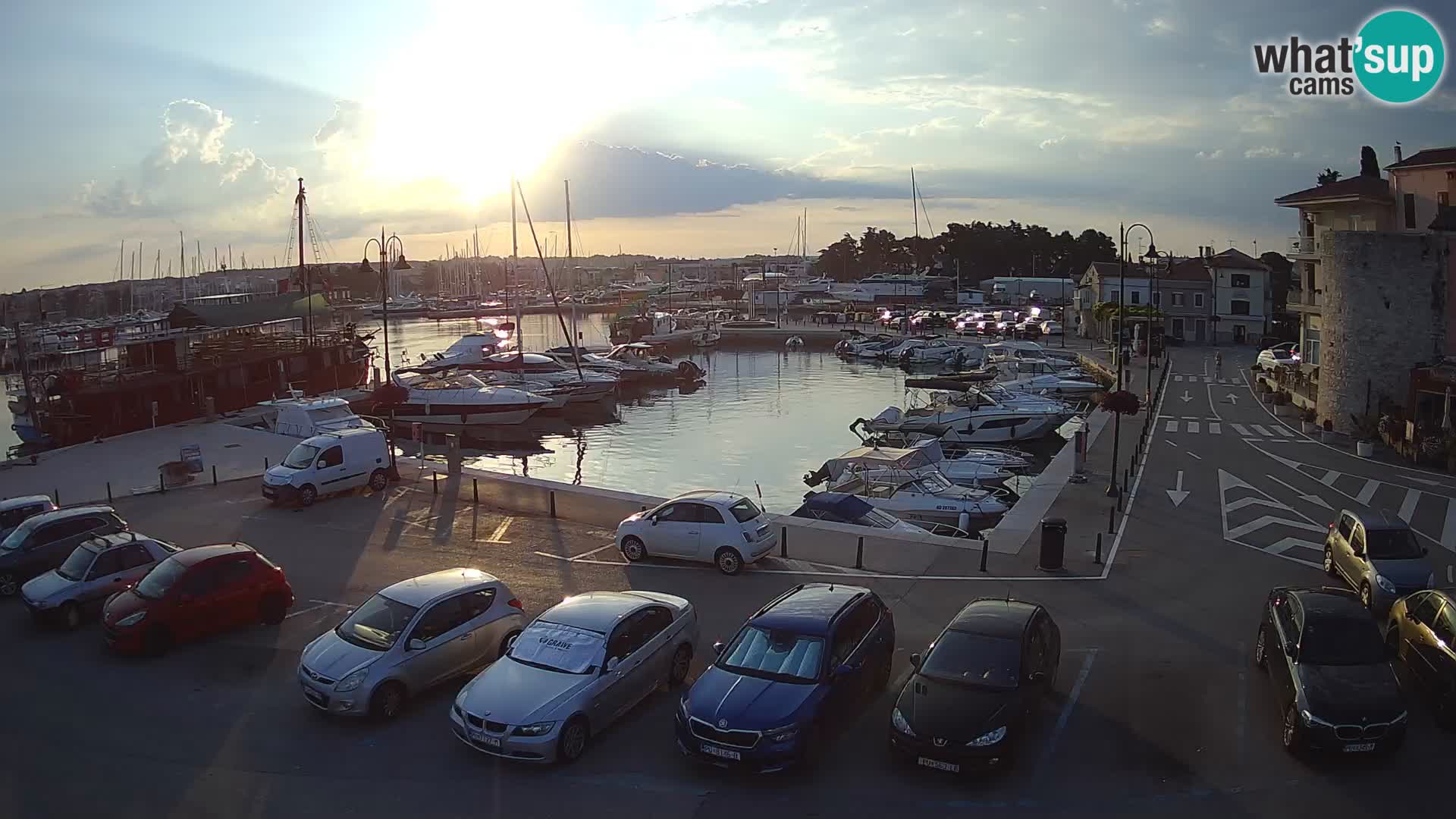 Novigrad | Porporela marina