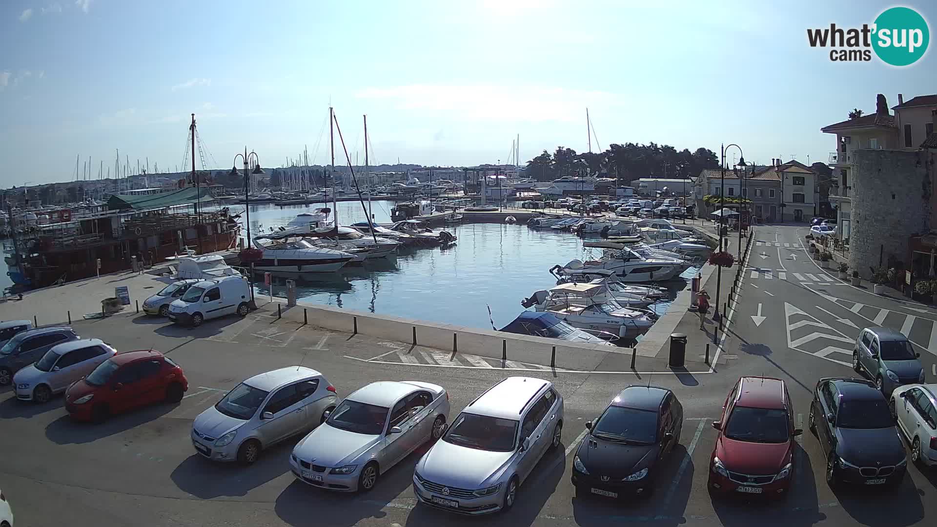 Novigrad | Porporela marina