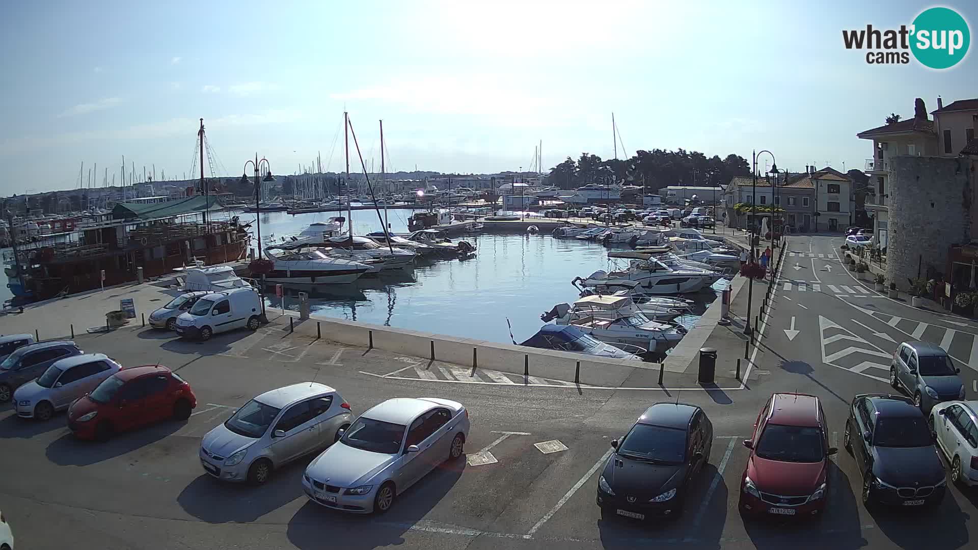 Novigrad | Porporela marina