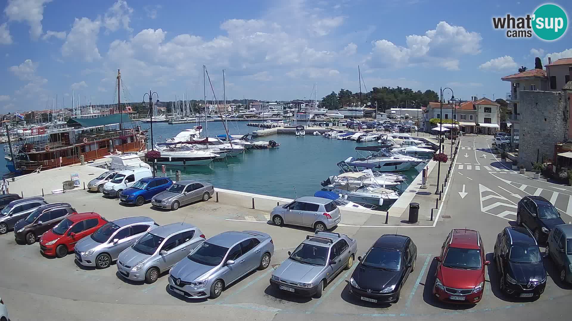 Novigrad | Porporela marina