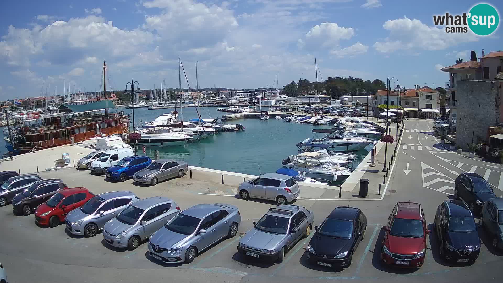 Novigrad | Porporela marina