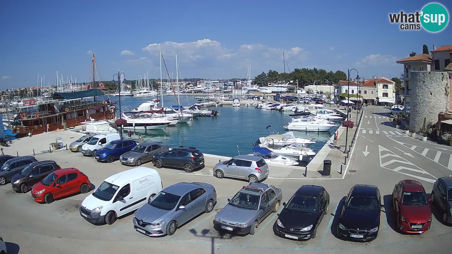 Novigrad | Porporela marina