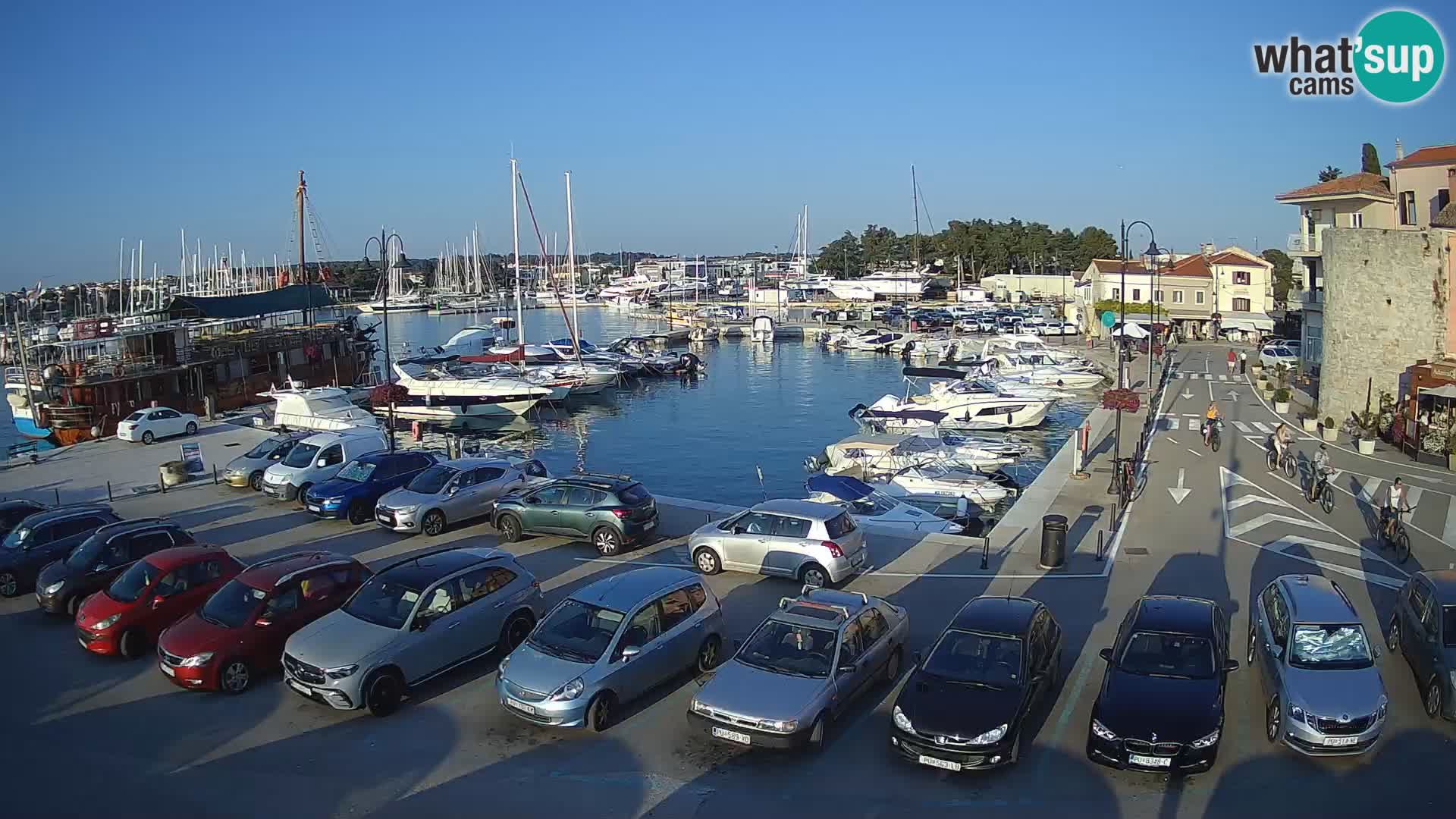 Novigrad | Porporela marina