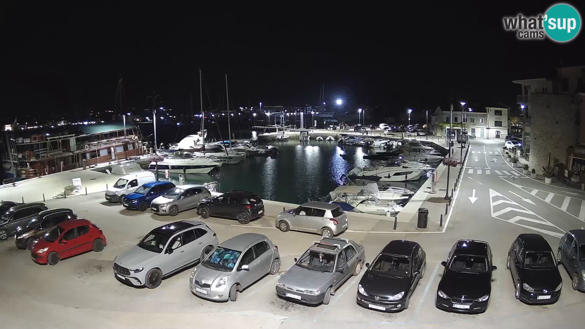 Novigrad | Porporela marina