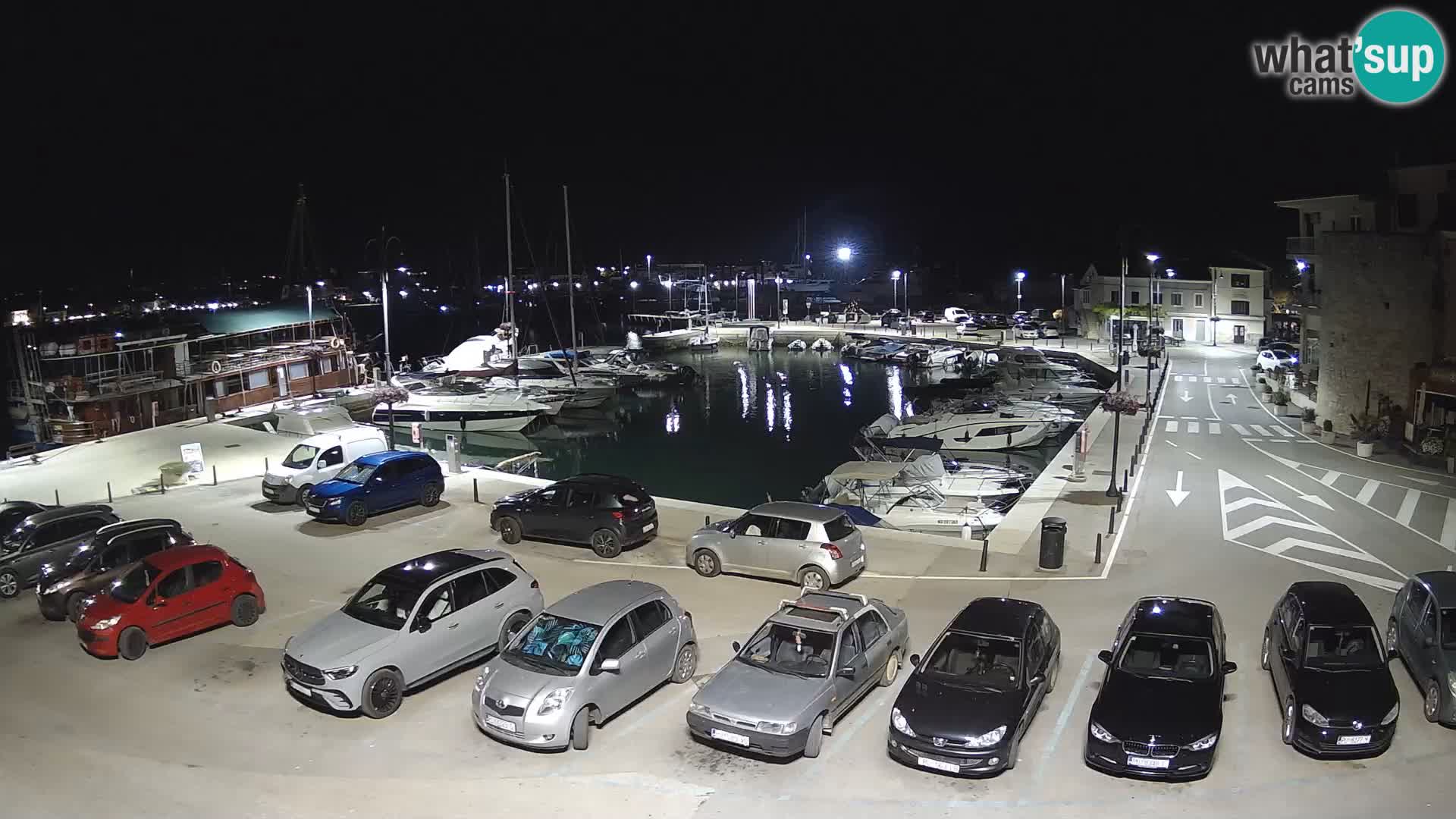 Novigrad | Porporela marina