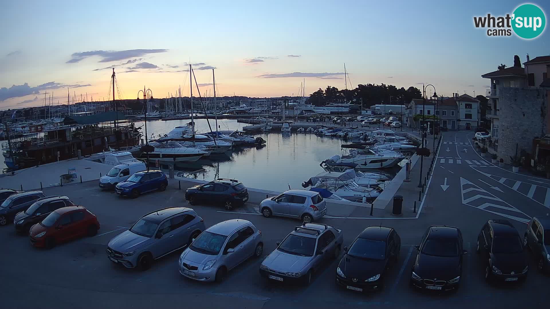Novigrad | Porporela marina