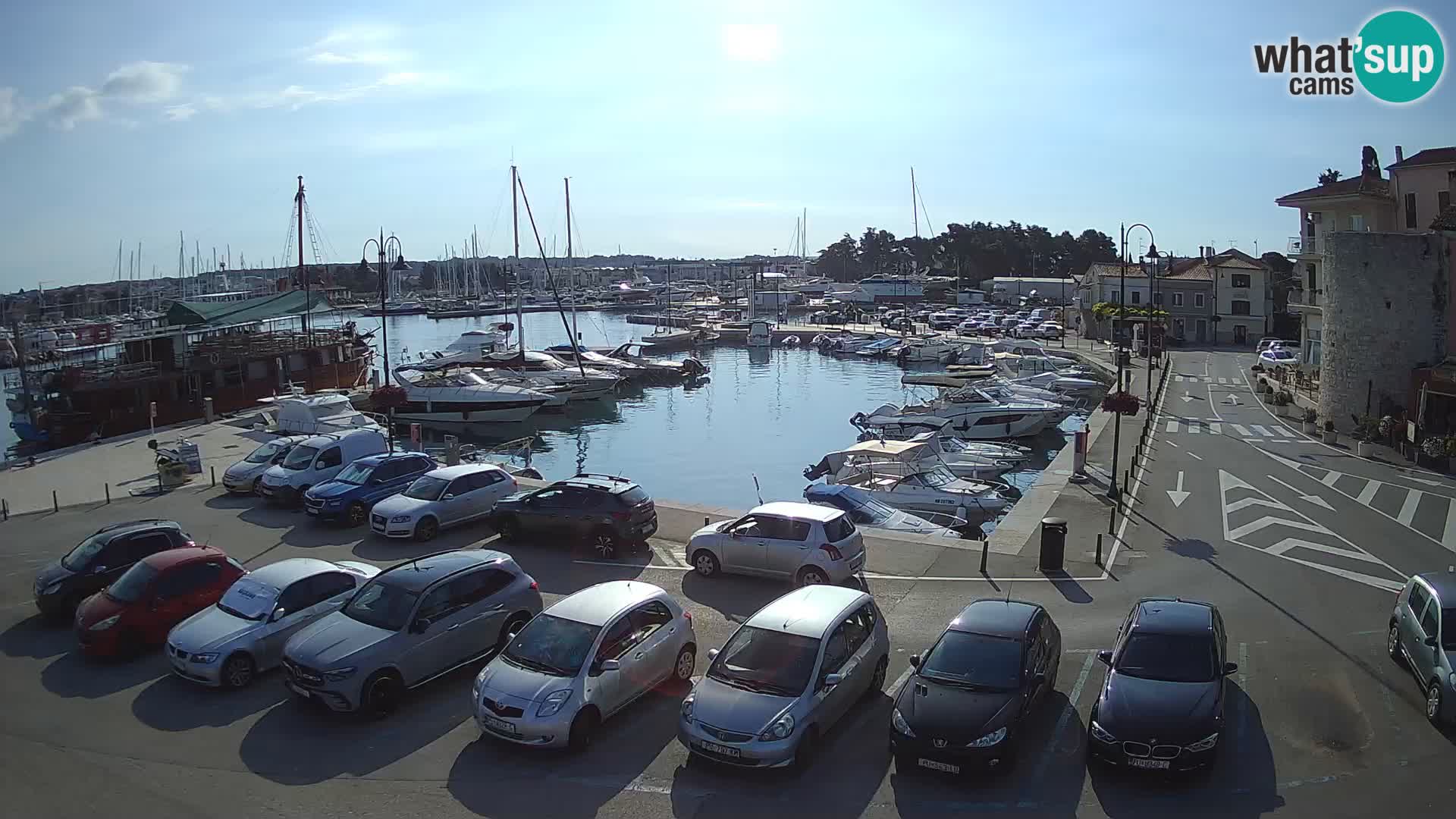 Novigrad | Porporela marina