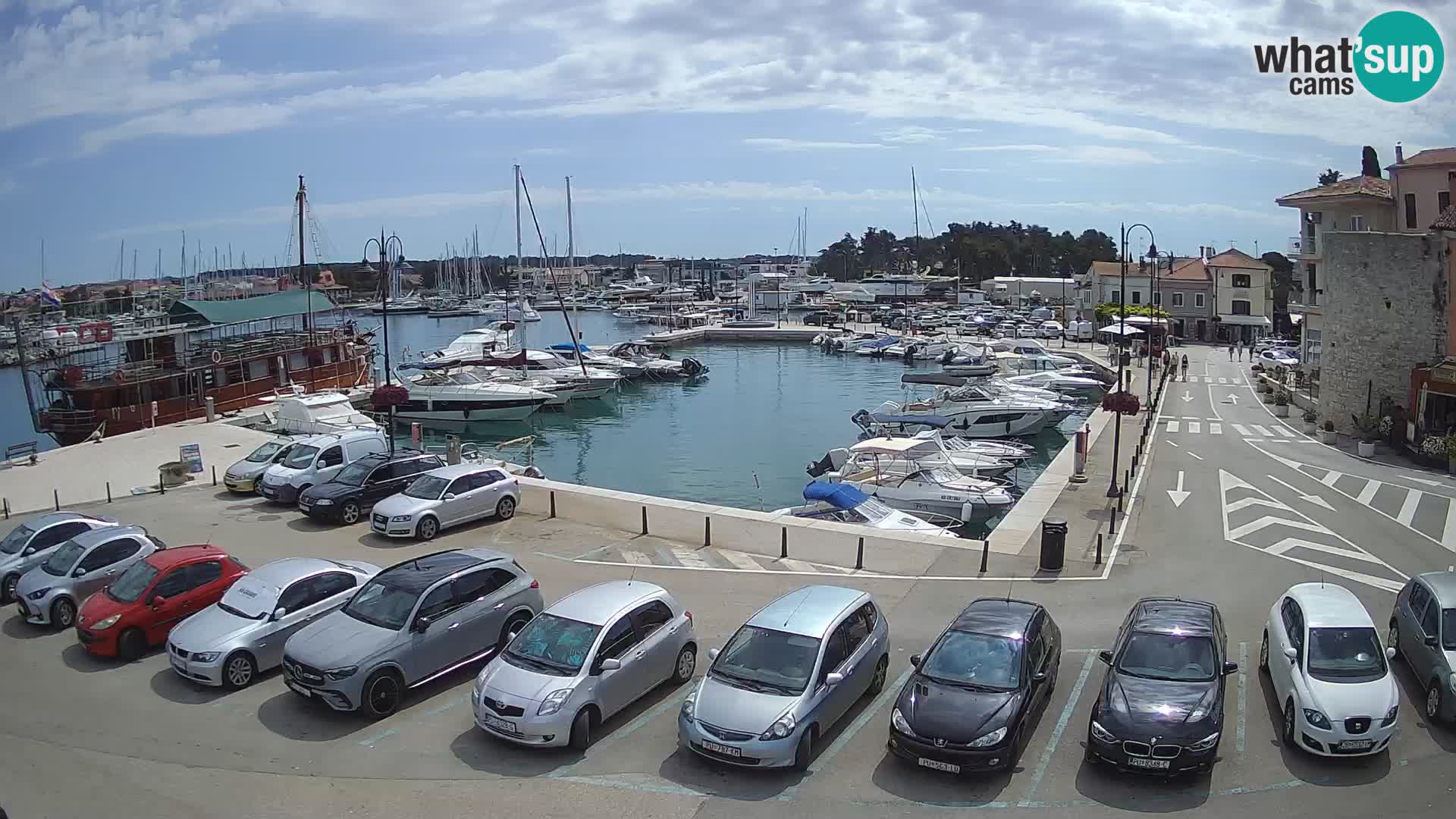 Novigrad | Porporela marina