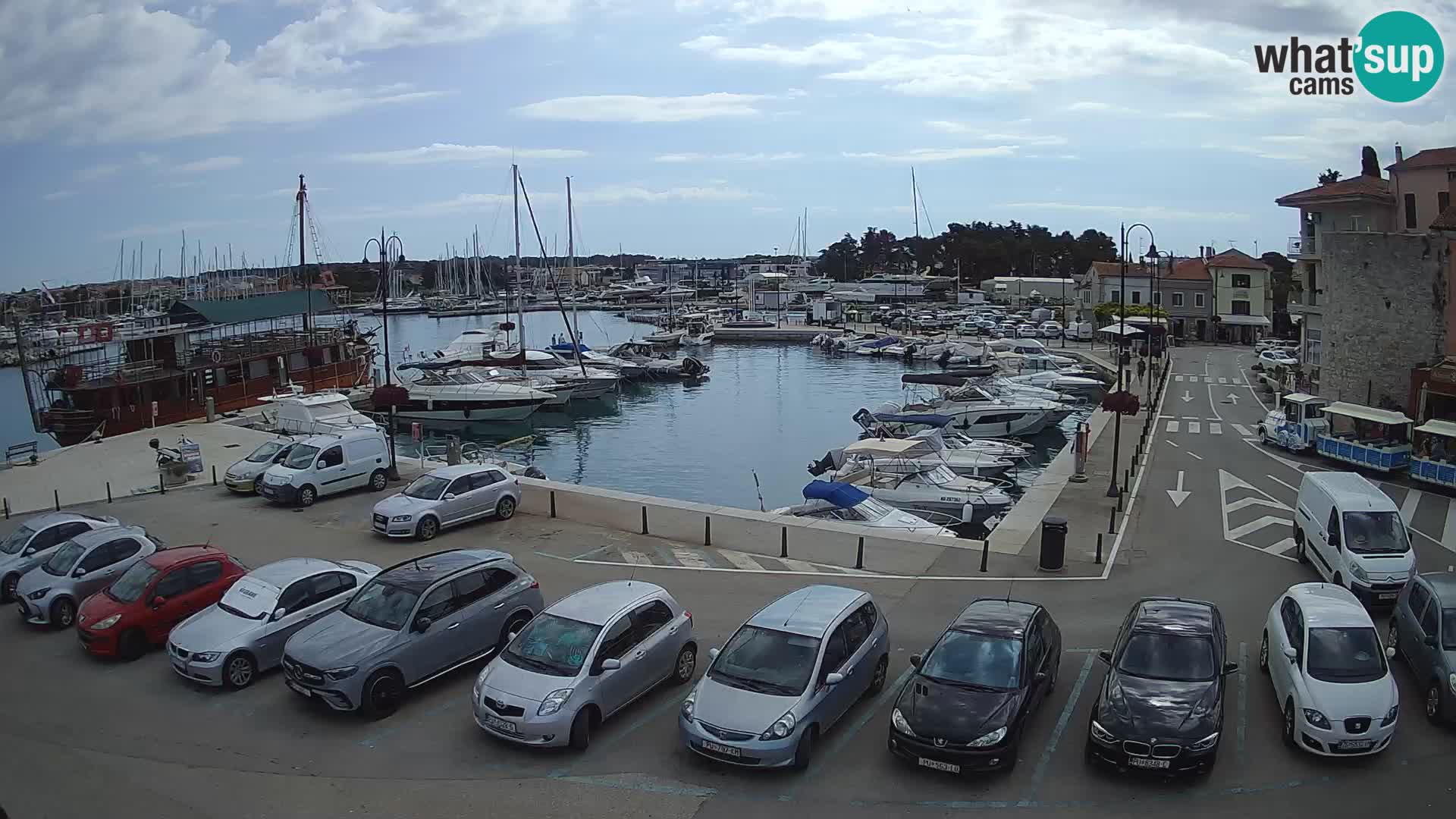 Novigrad | Porporela marina