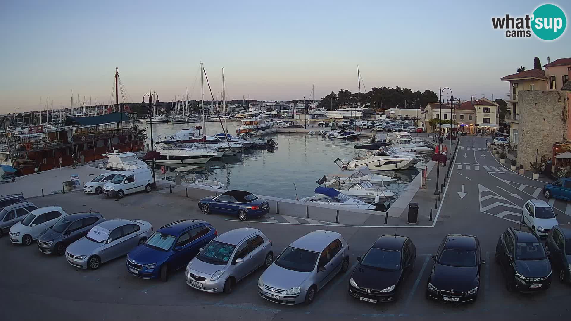 Novigrad | Porporela marina
