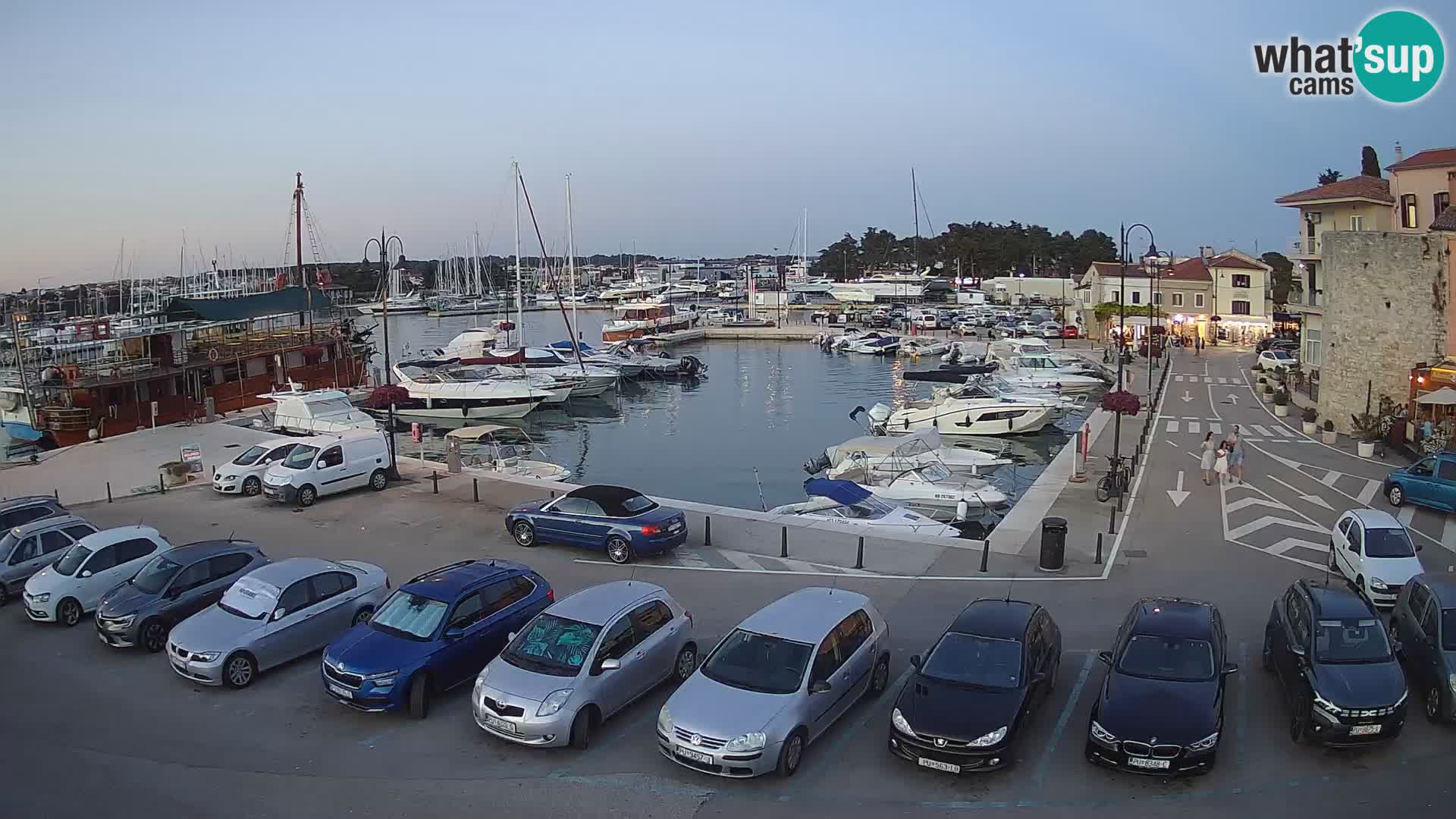 Novigrad | Porporela marina