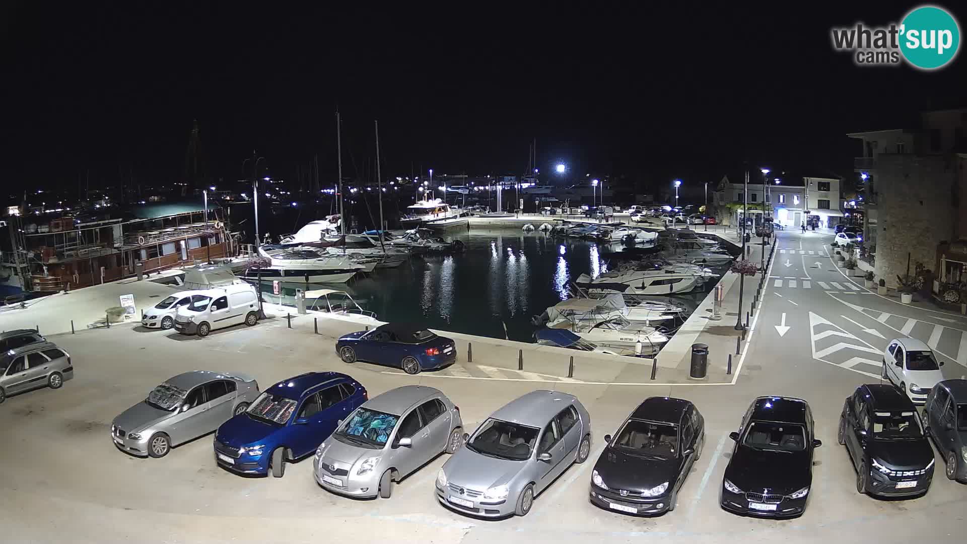 Novigrad | Porporela marina