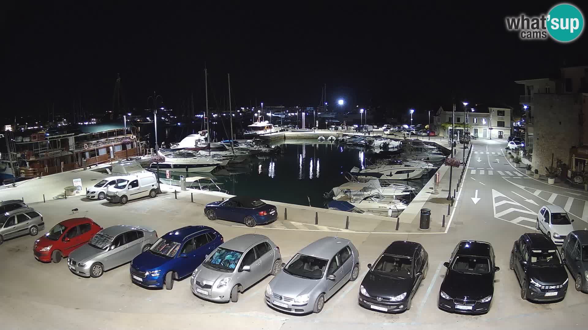 Novigrad | Porporela marina