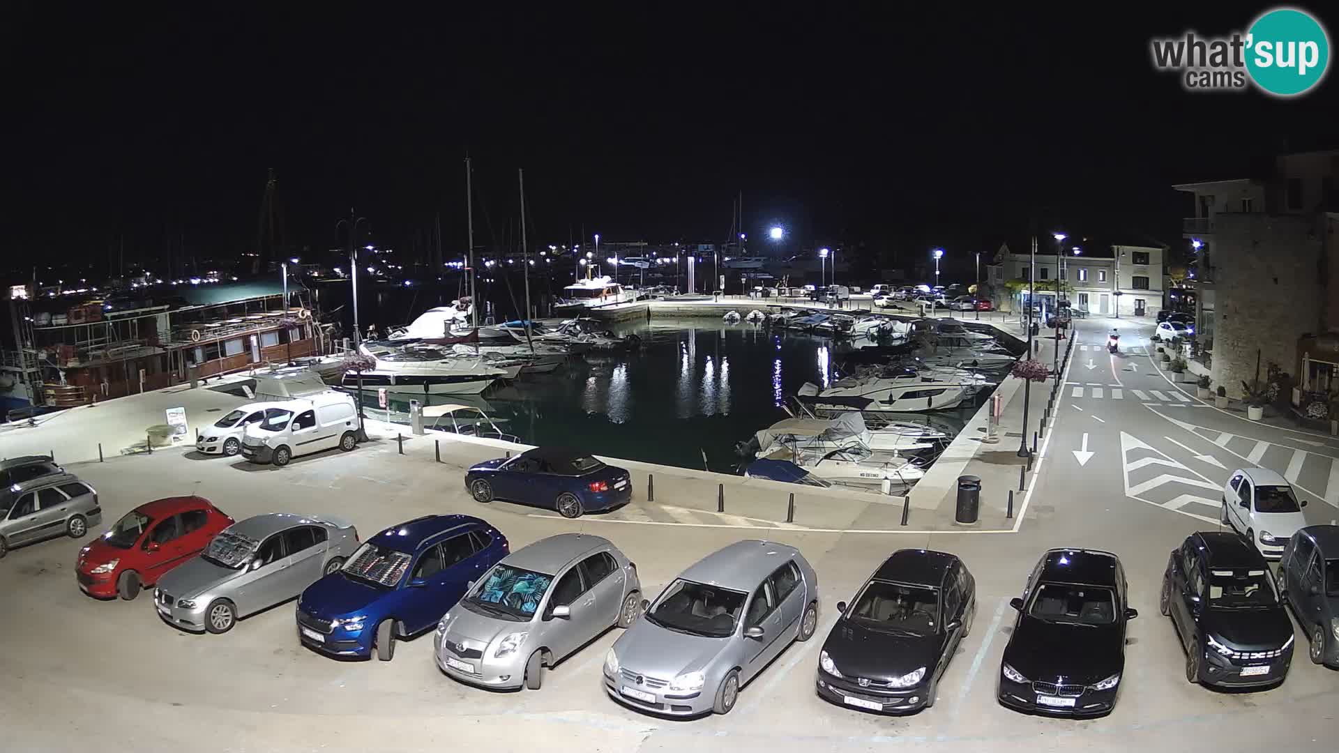 Novigrad | Porporela marina
