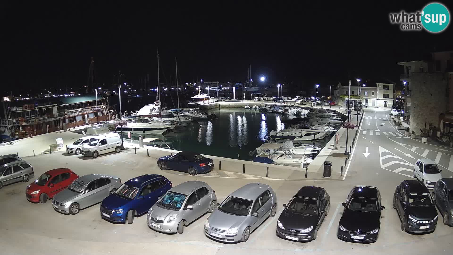 Novigrad | Porporela marina