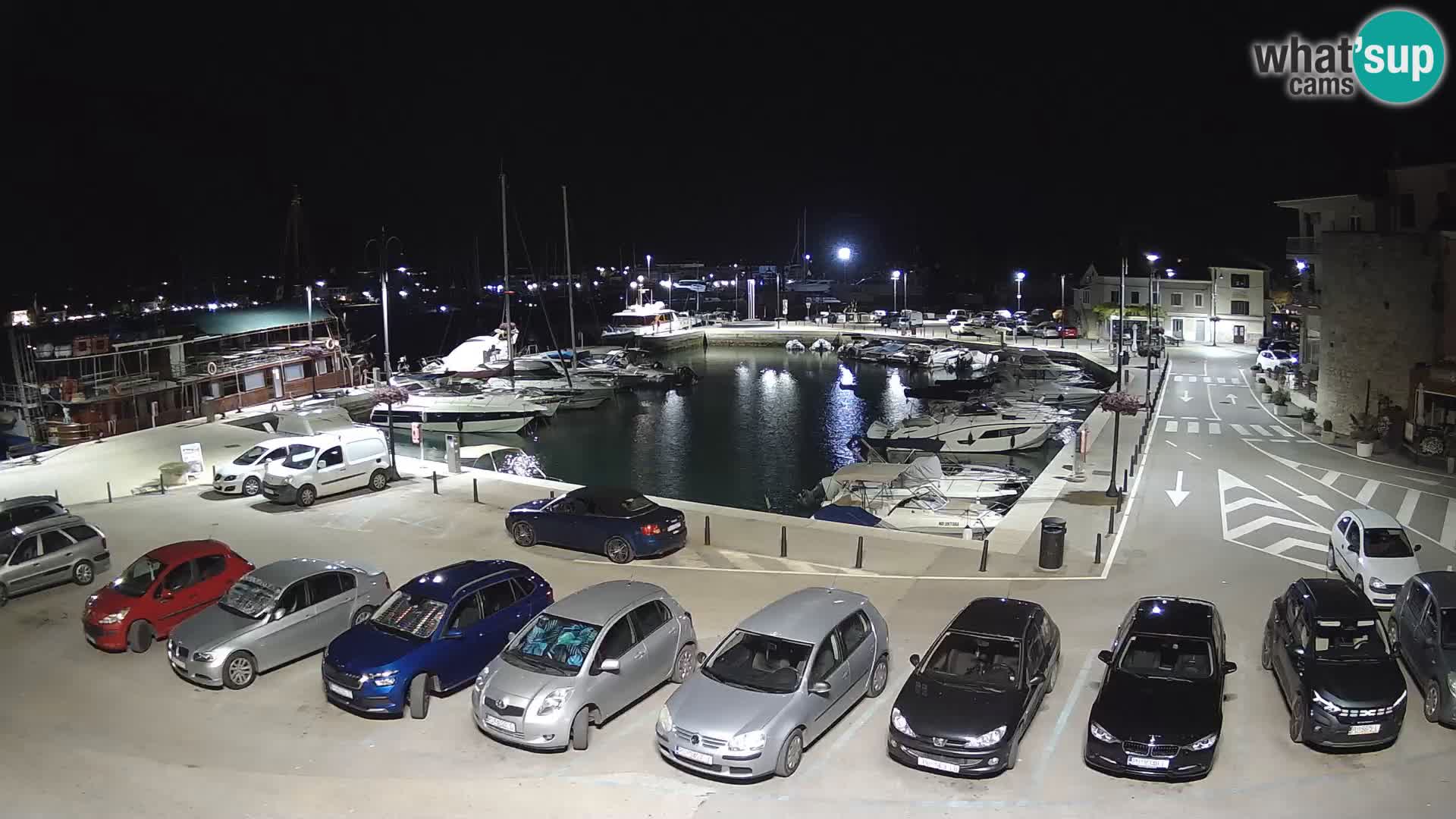 Novigrad | Porporela marina