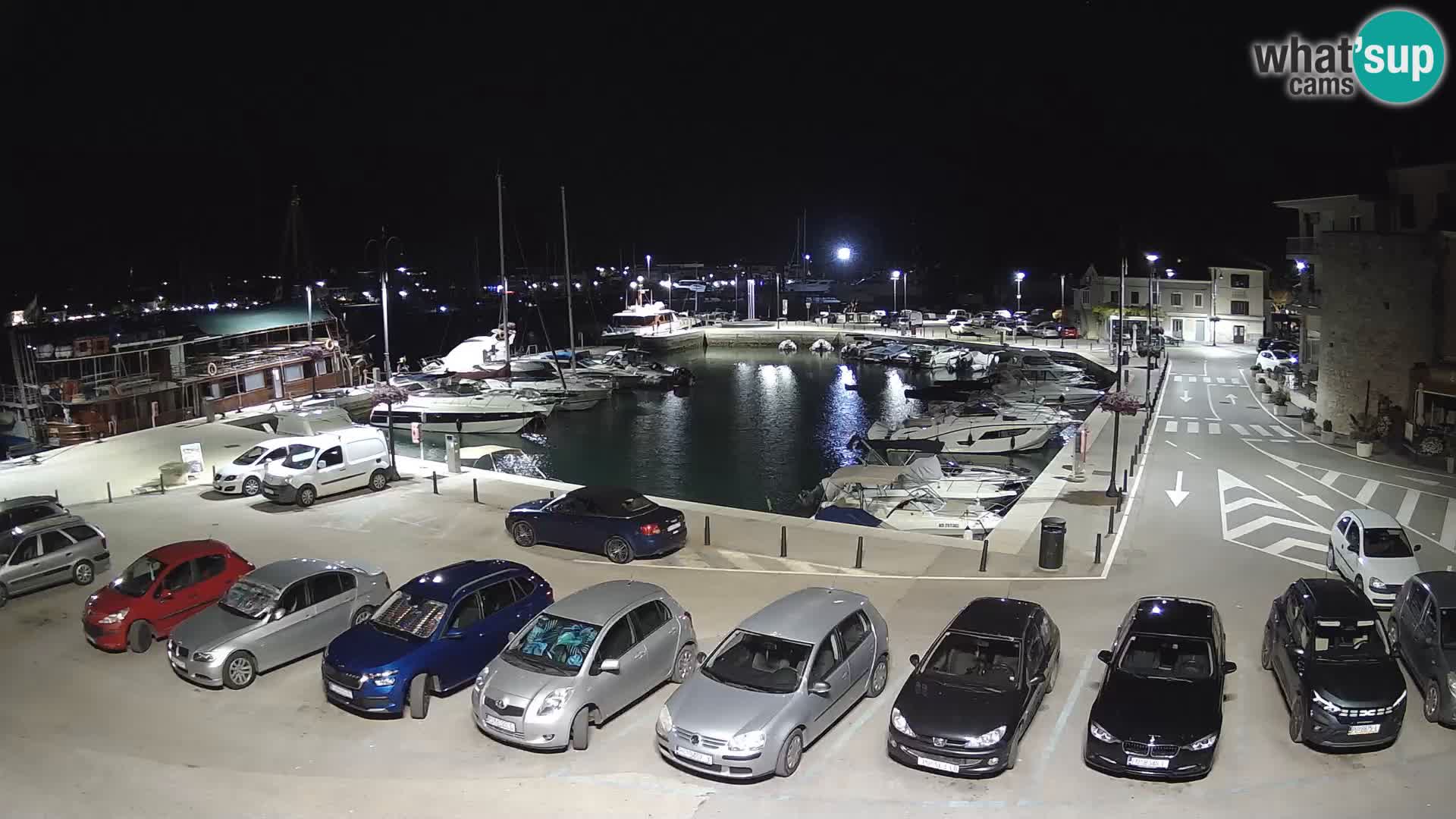 Novigrad | Porporela marina