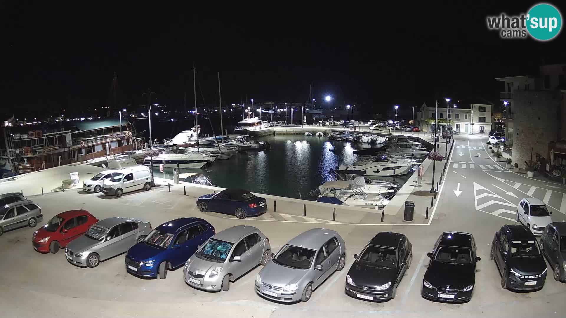 Novigrad | Porporela marina