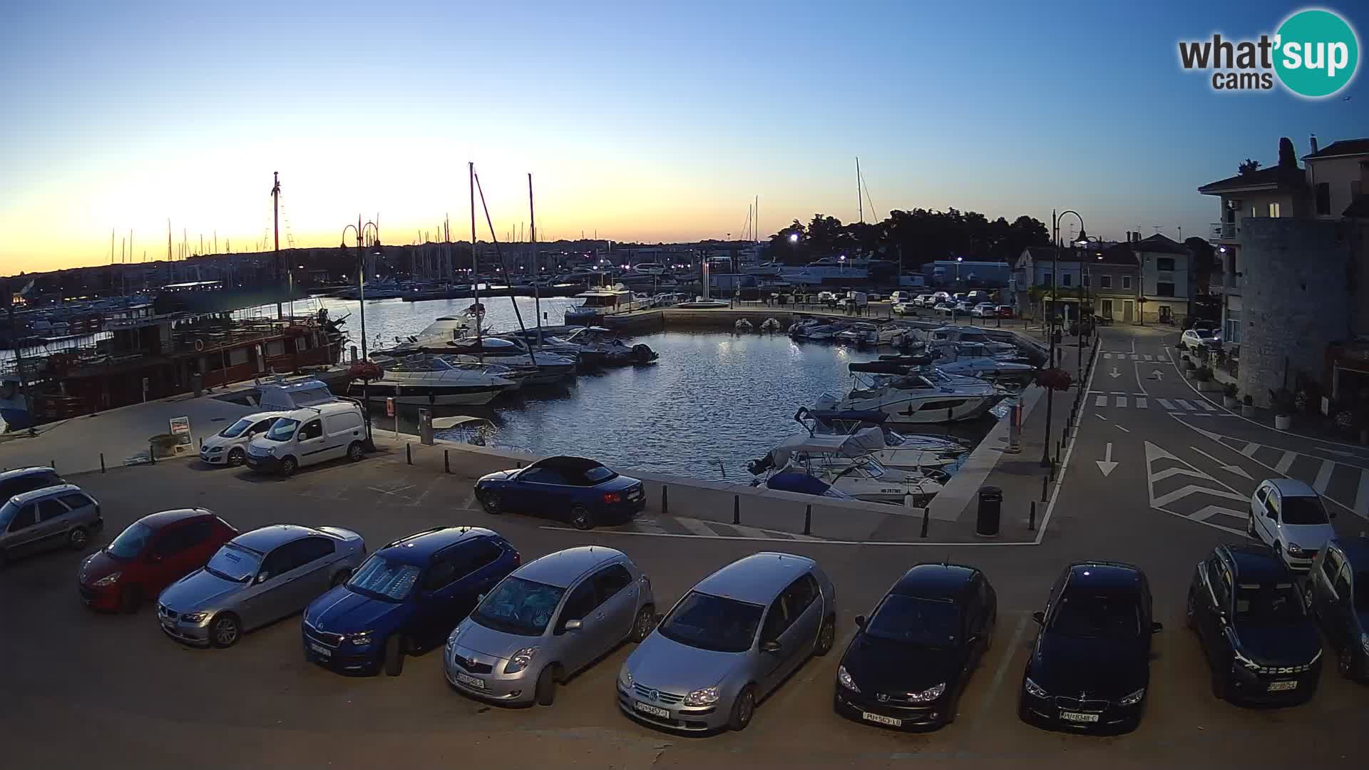 Novigrad | Porporela marina