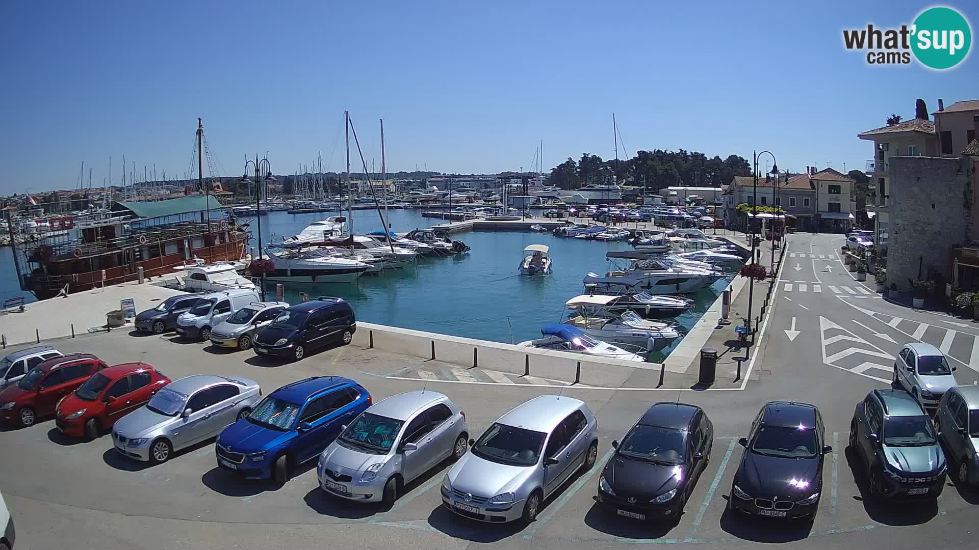 Novigrad | Porporela marina