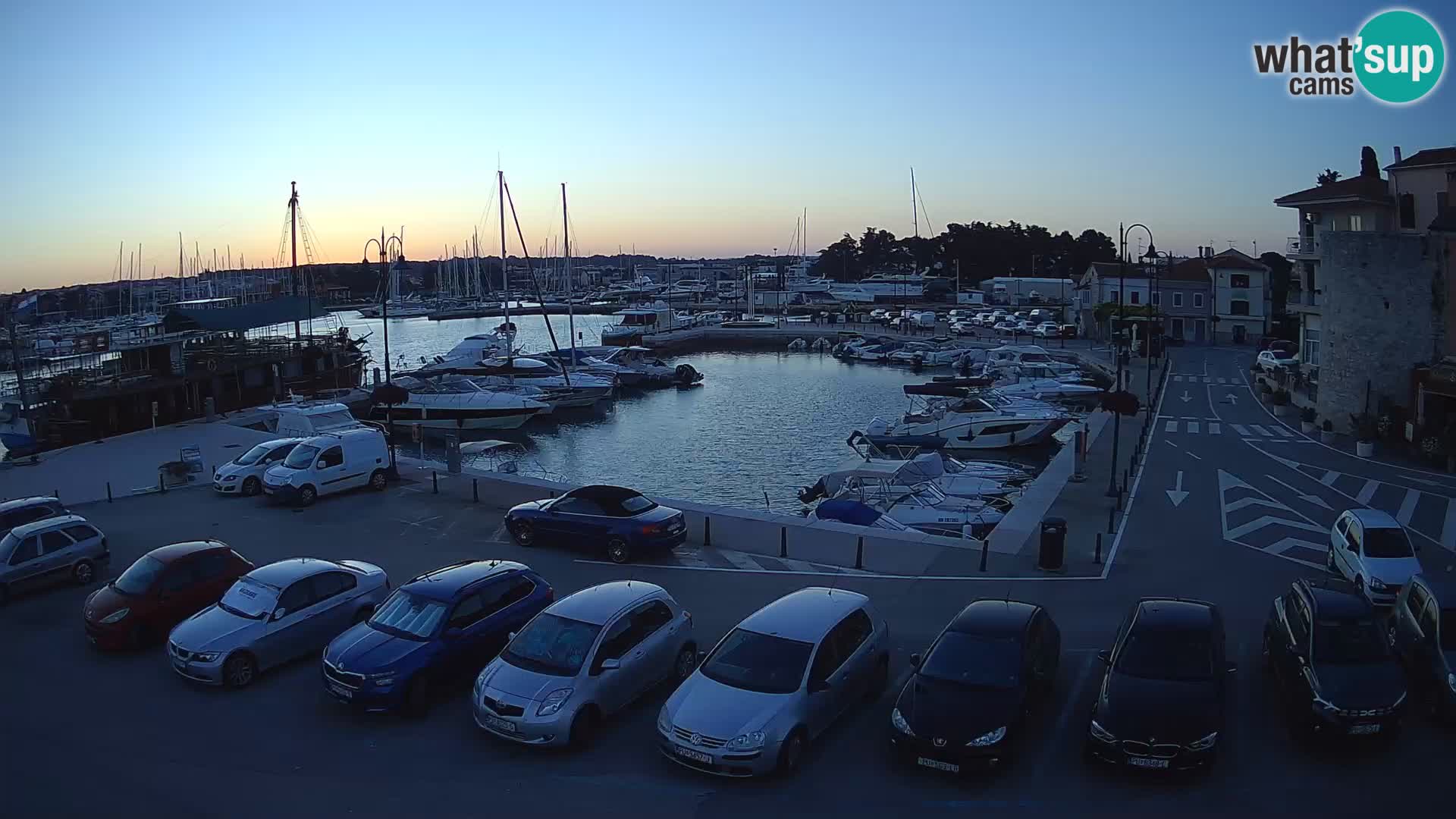 Novigrad | Porporela marina