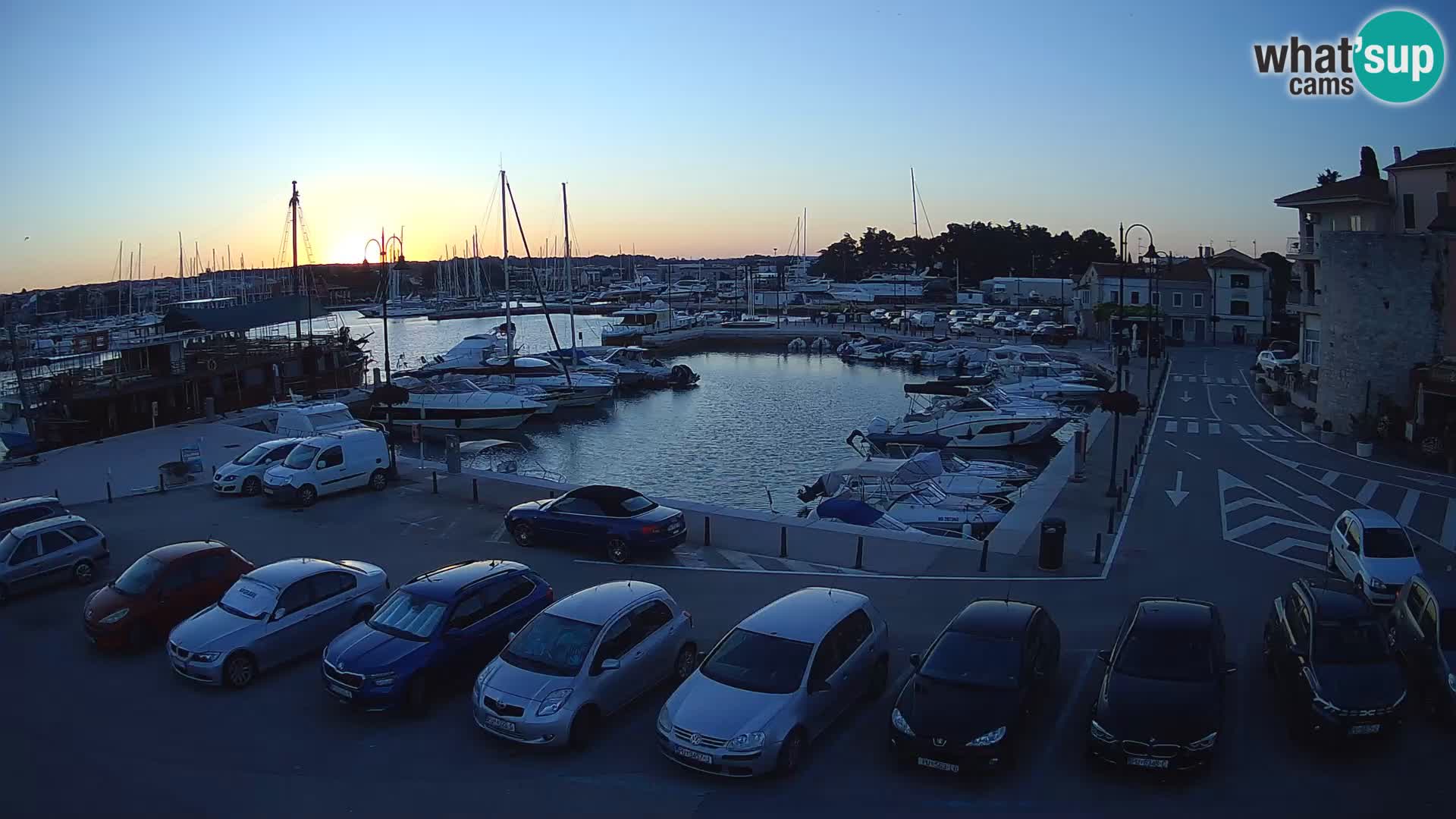 Novigrad | Porporela marina