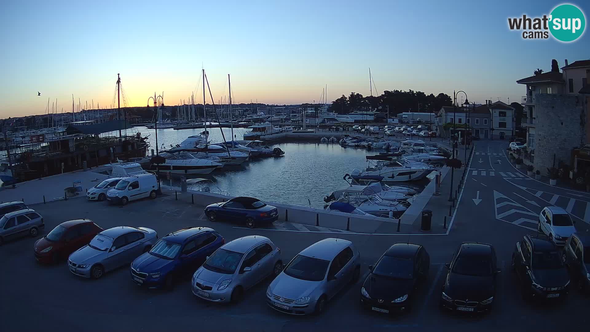 Novigrad | Porporela marina