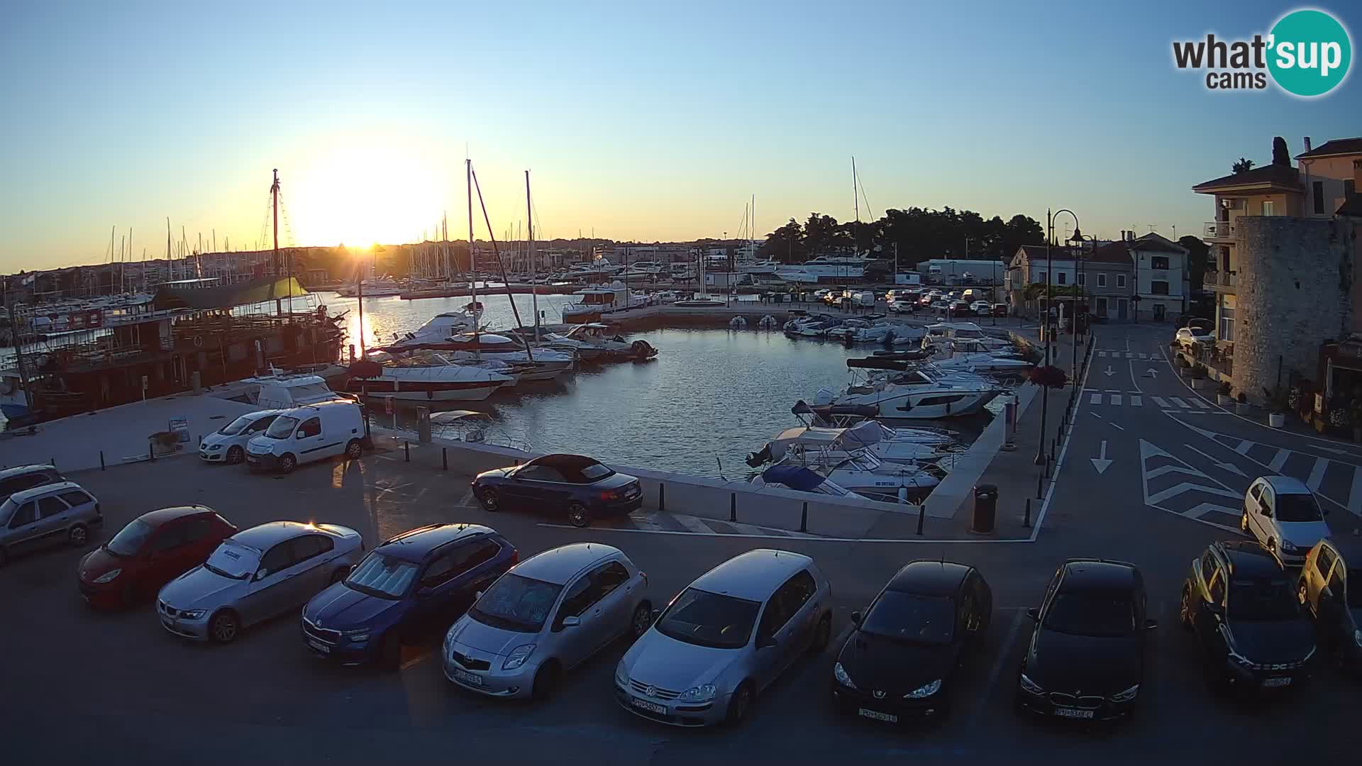 Novigrad | Porporela marina