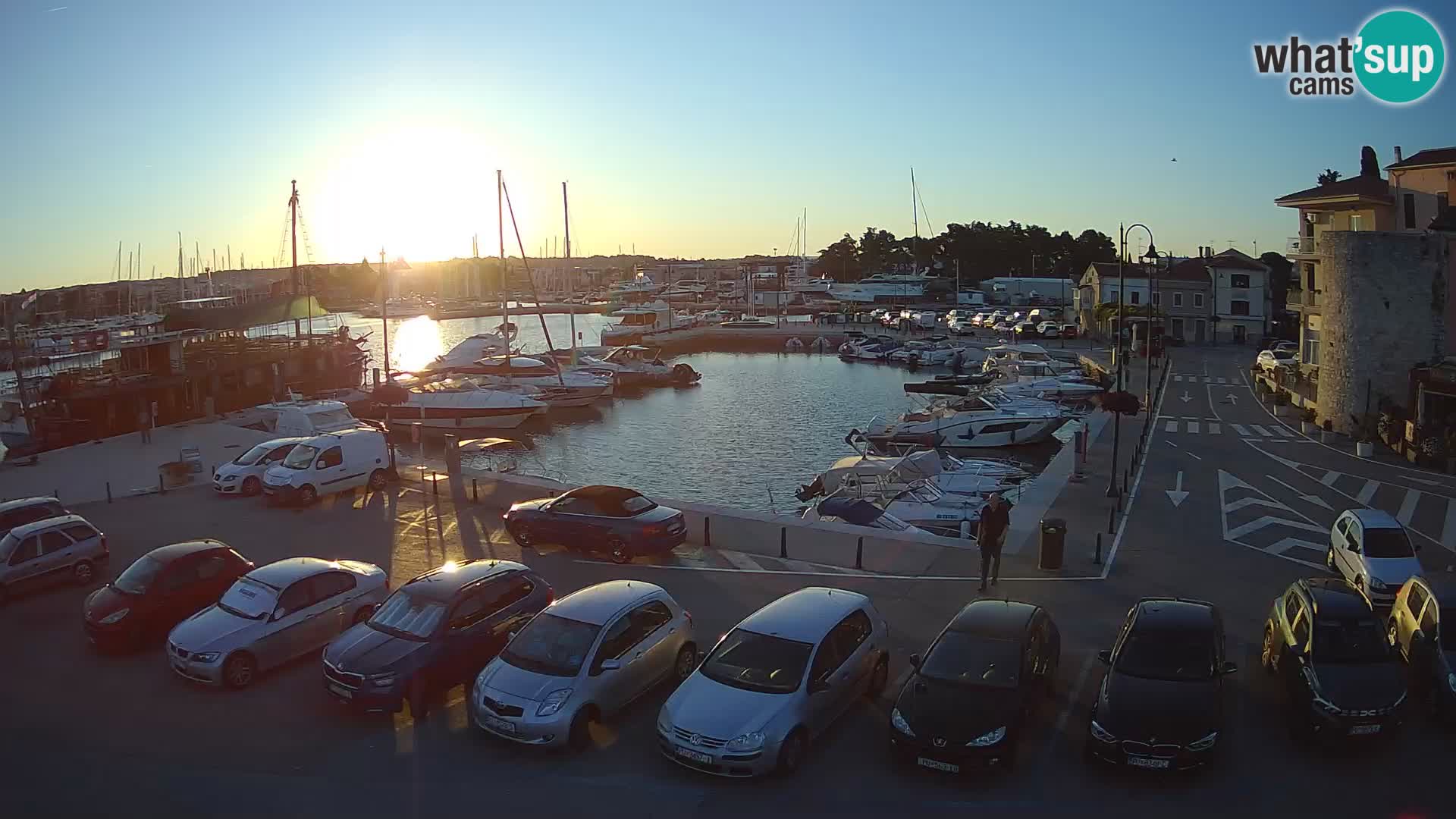 Novigrad | Porporela marina