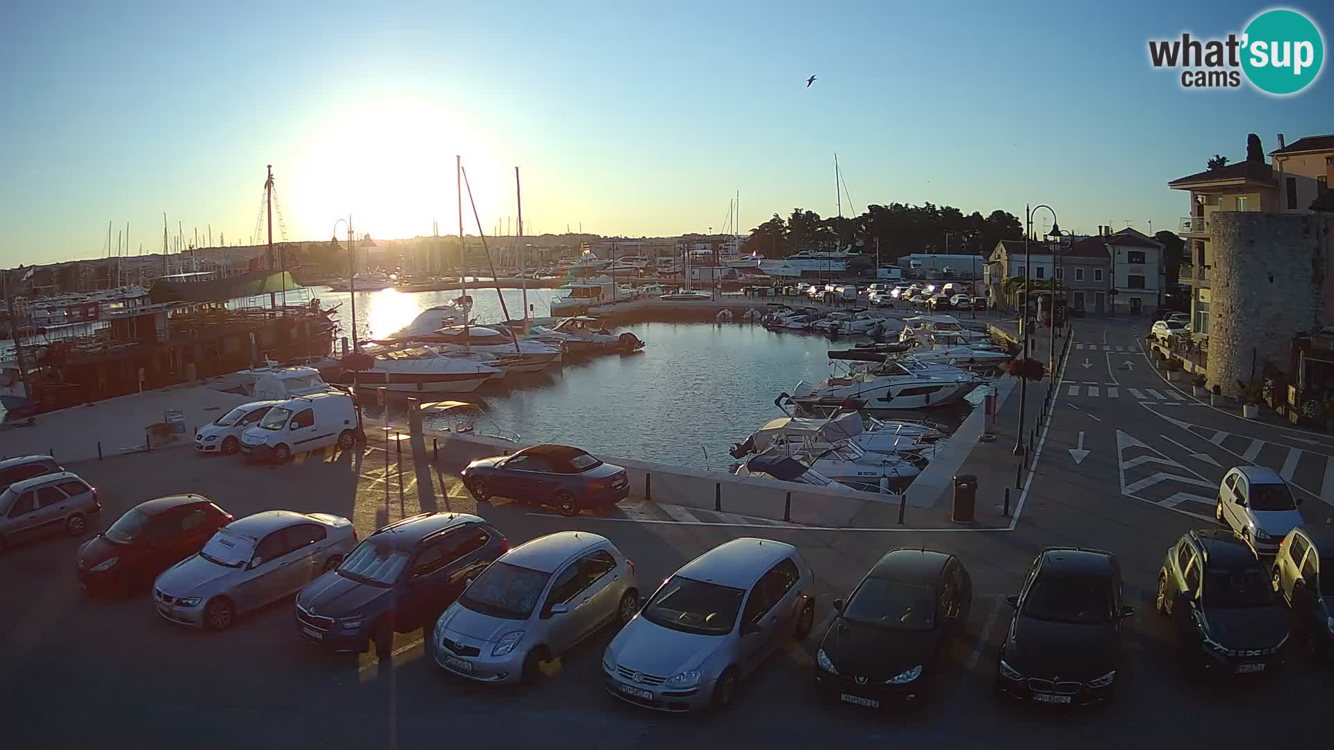 Novigrad | Porporela marina