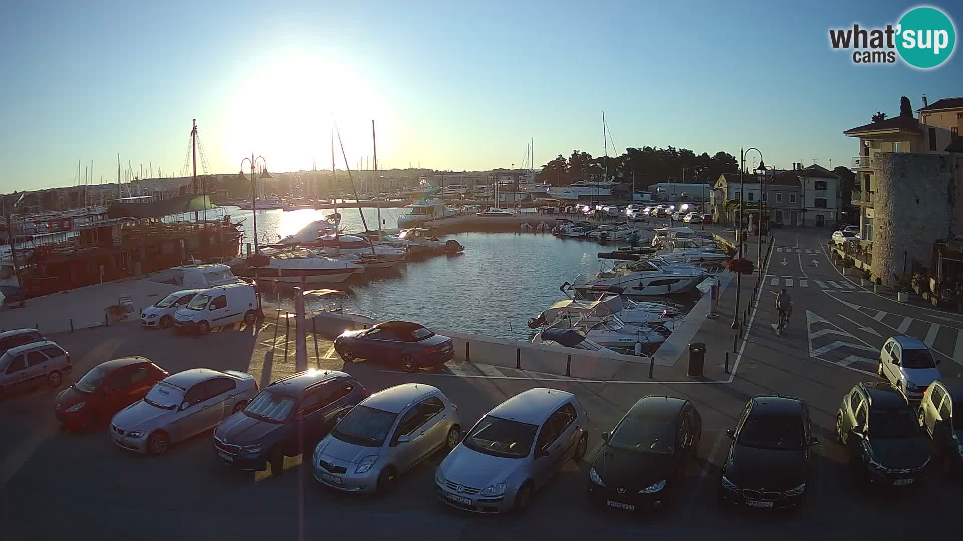 Novigrad | Porporela marina