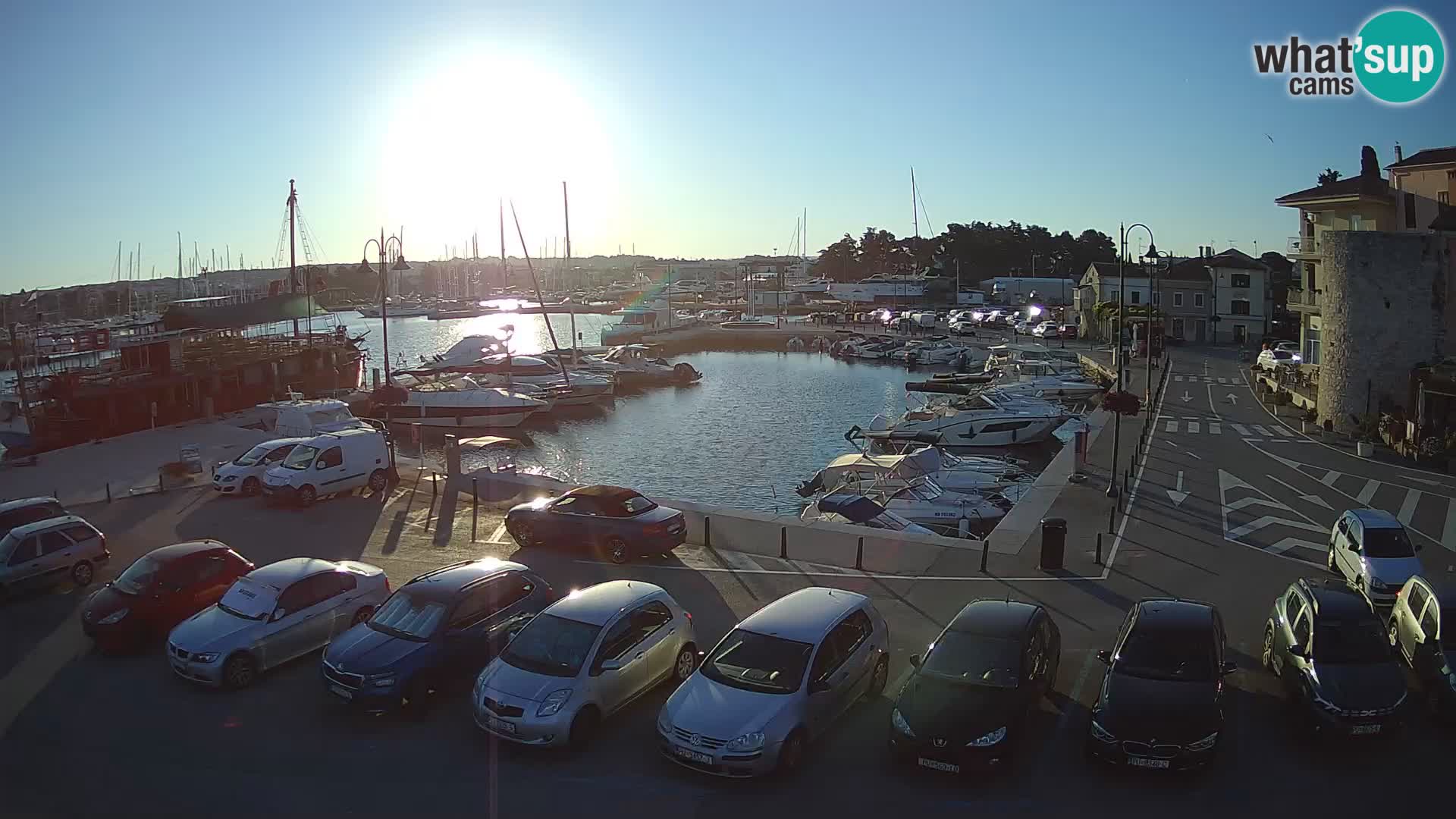 Novigrad | Porporela marina
