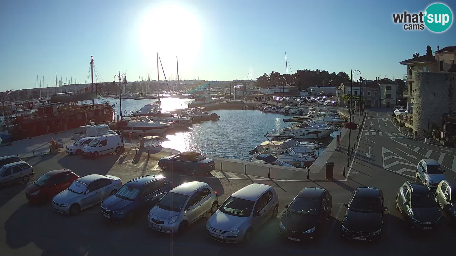Novigrad | Porporela marina