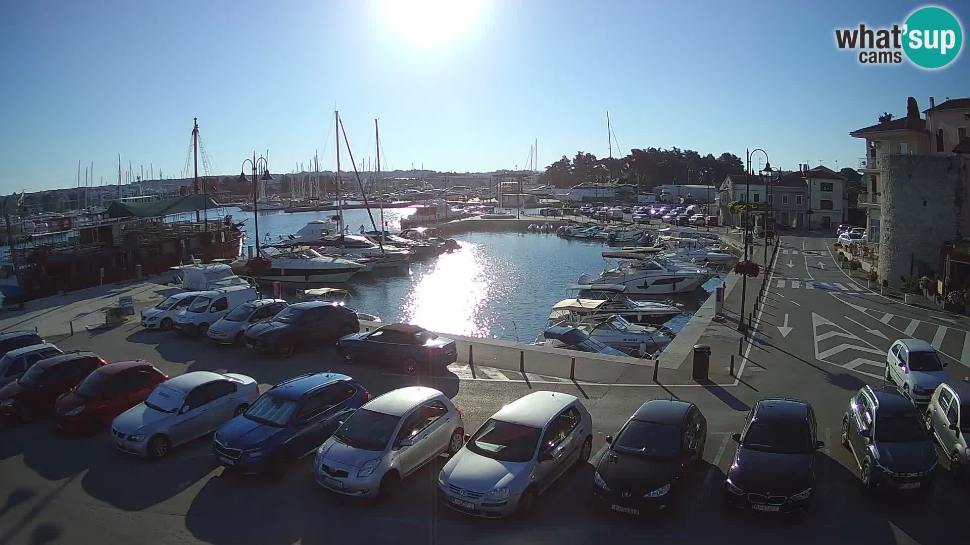 Novigrad | Porporela marina