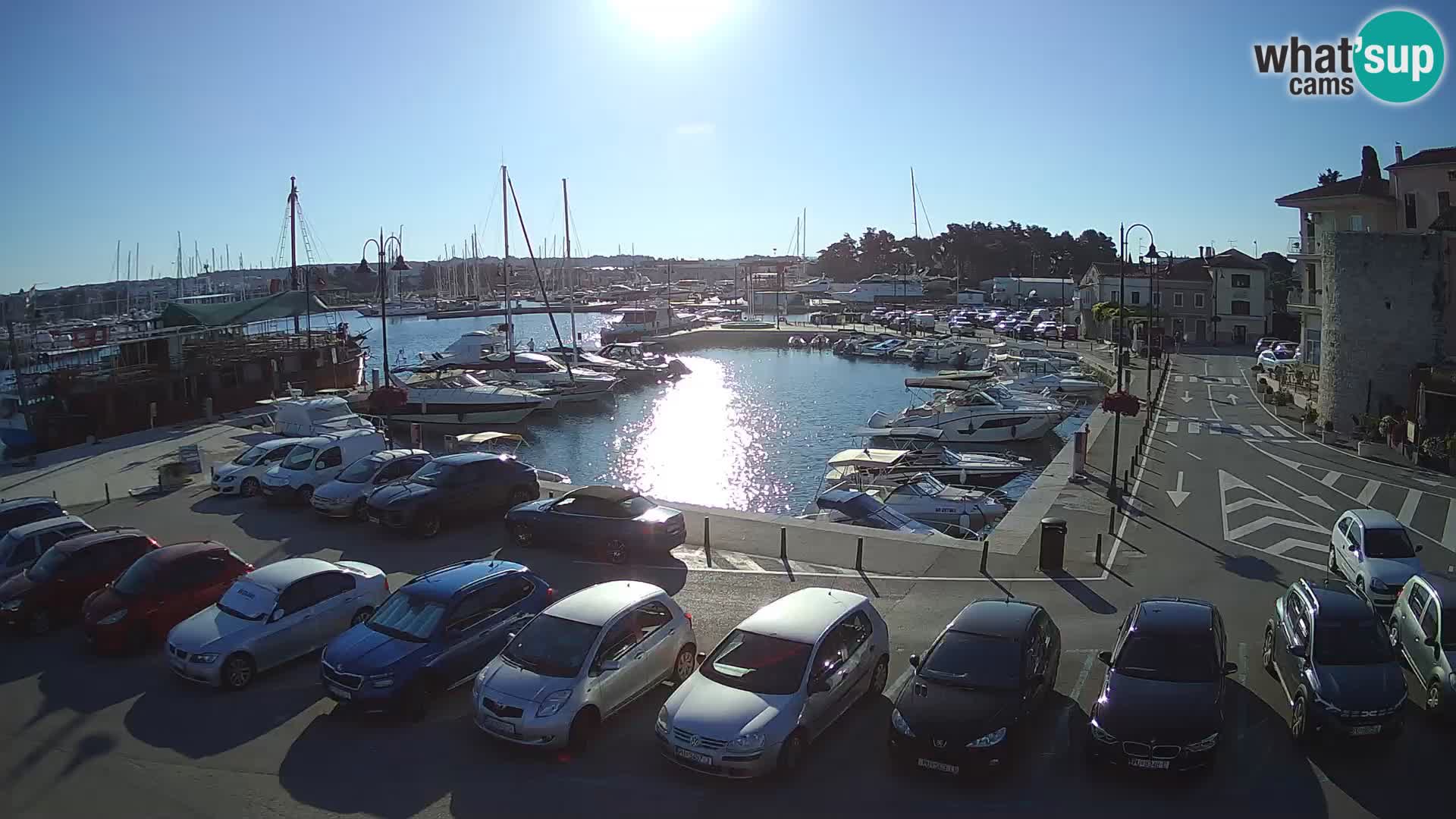 Novigrad | Porporela marina