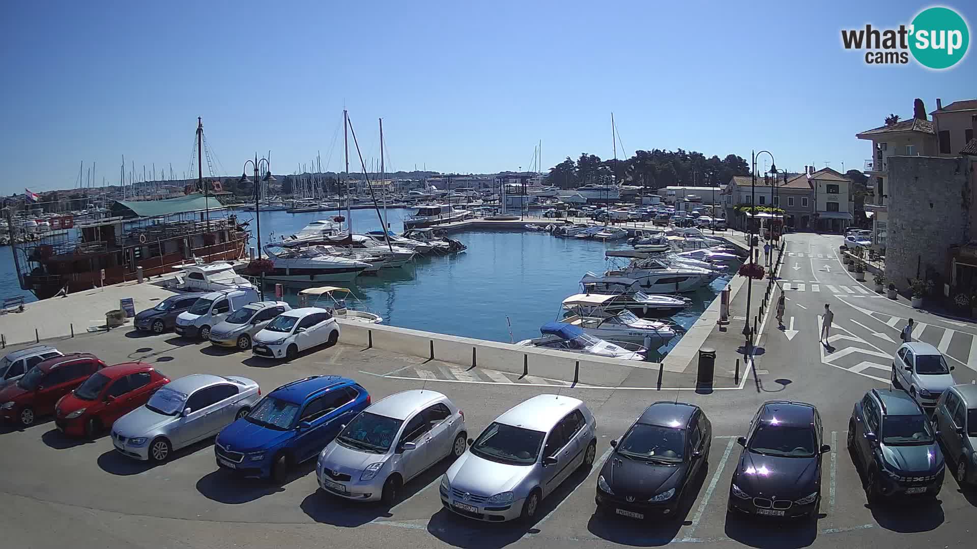 Novigrad | Porporela marina