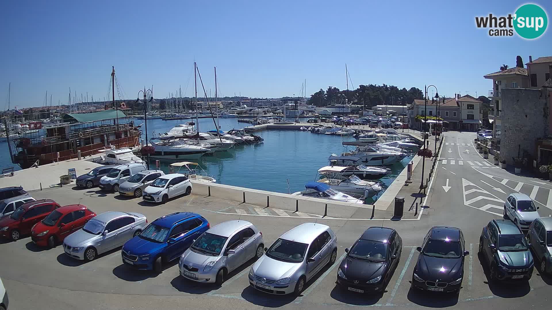 Novigrad | Porporela marina