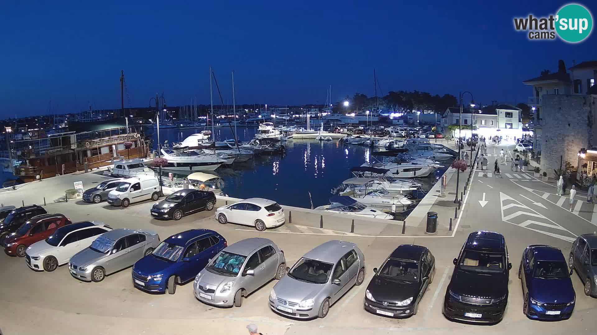 Novigrad | Porporela marina