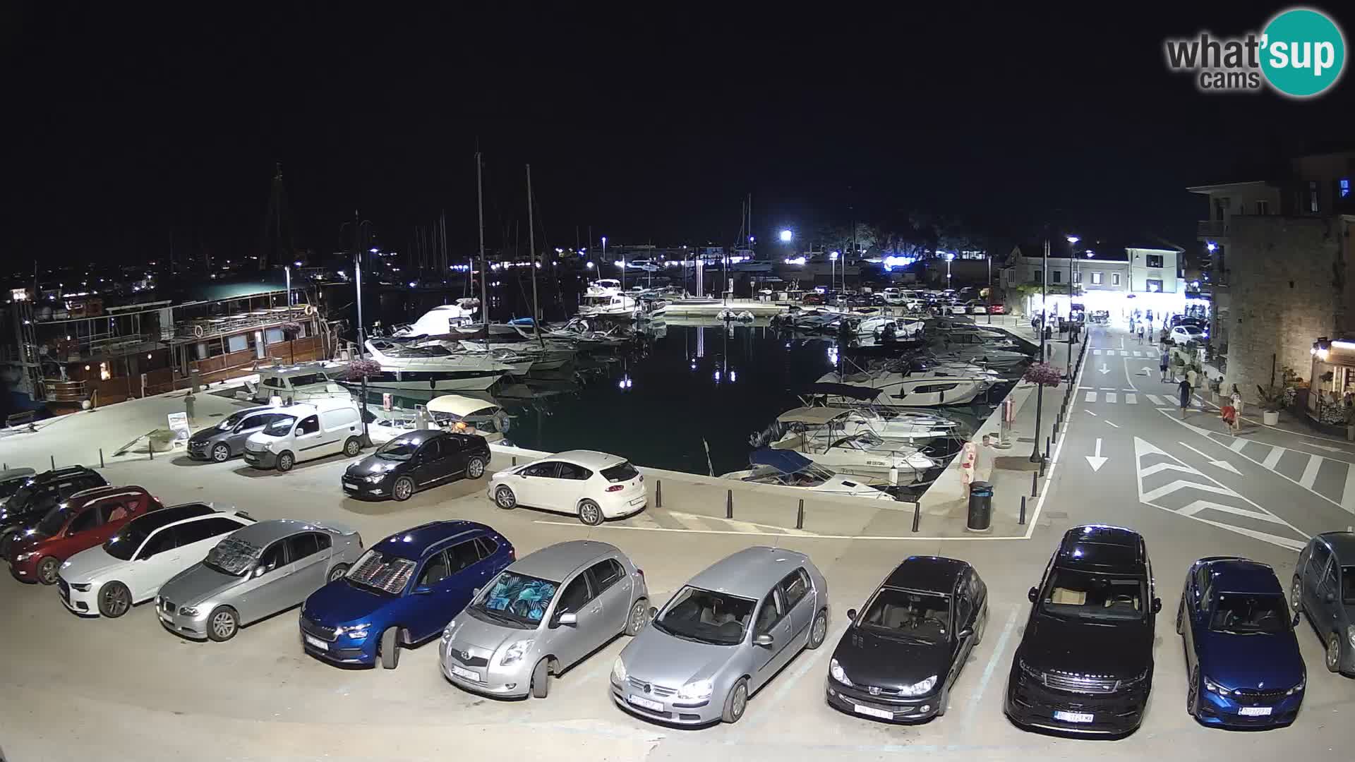 Novigrad | Porporela marina