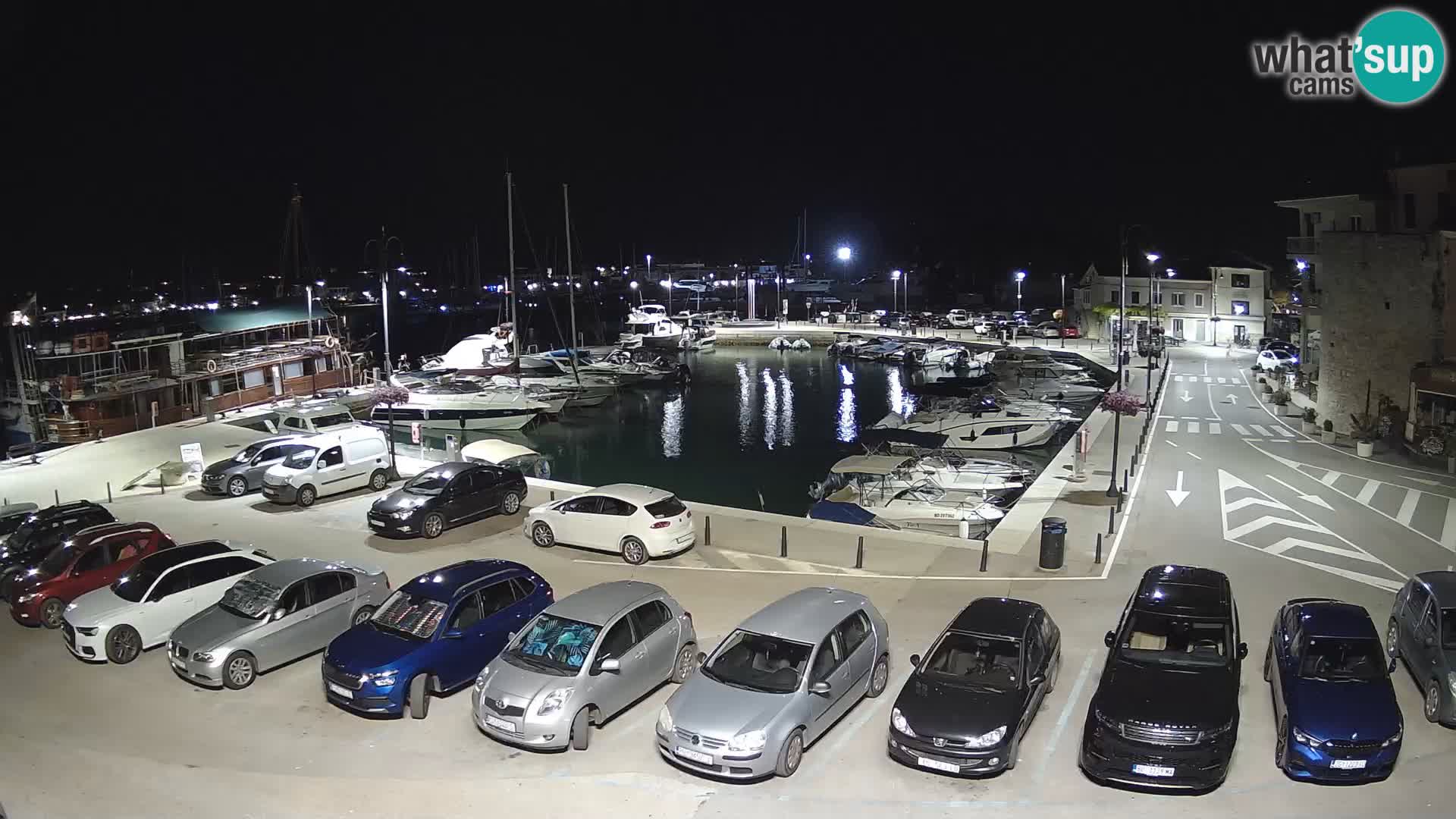 Novigrad | Porporela marina