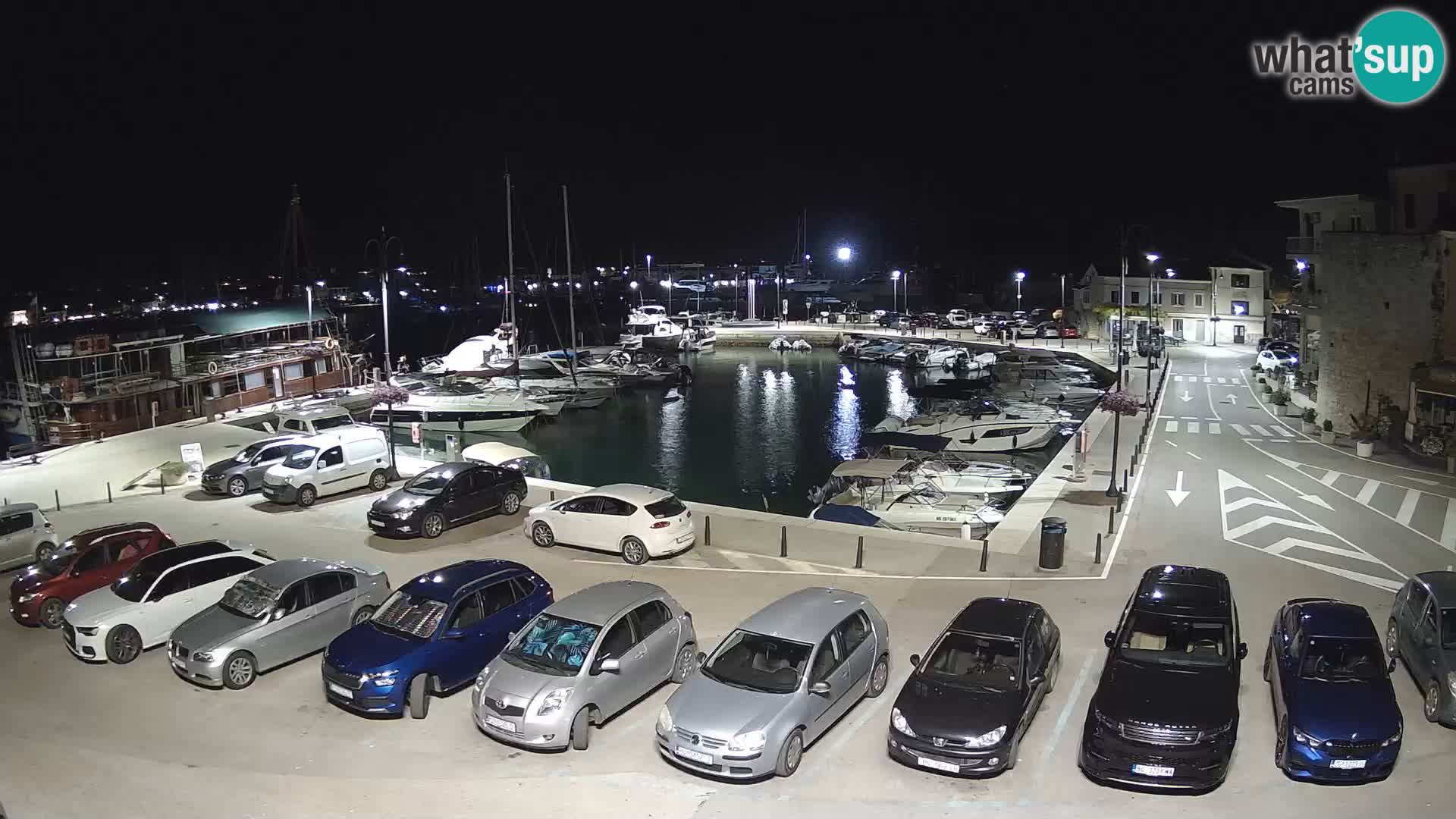 Novigrad | Porporela marina